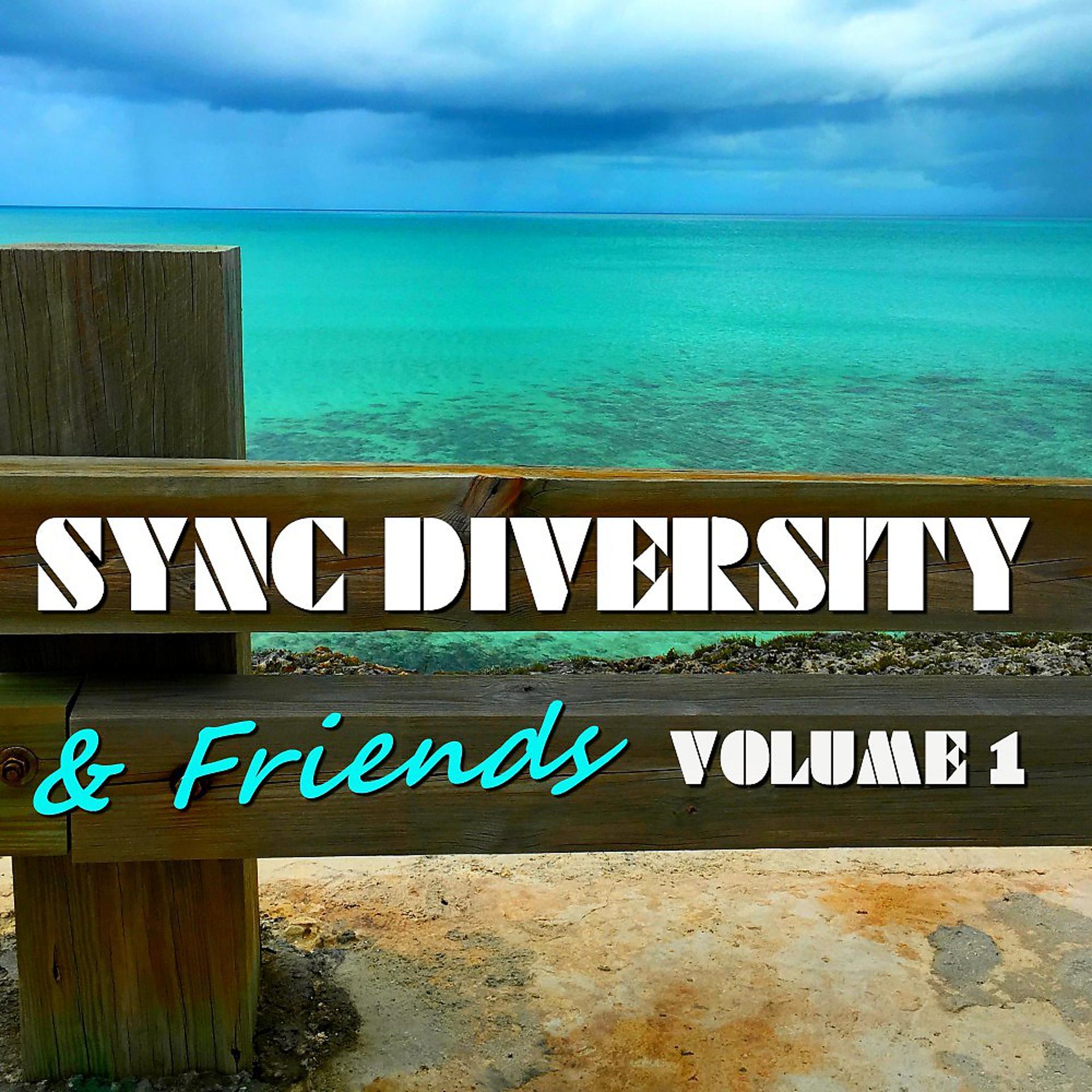 Постер альбома Sync Diversity & Friends, Vol. 1