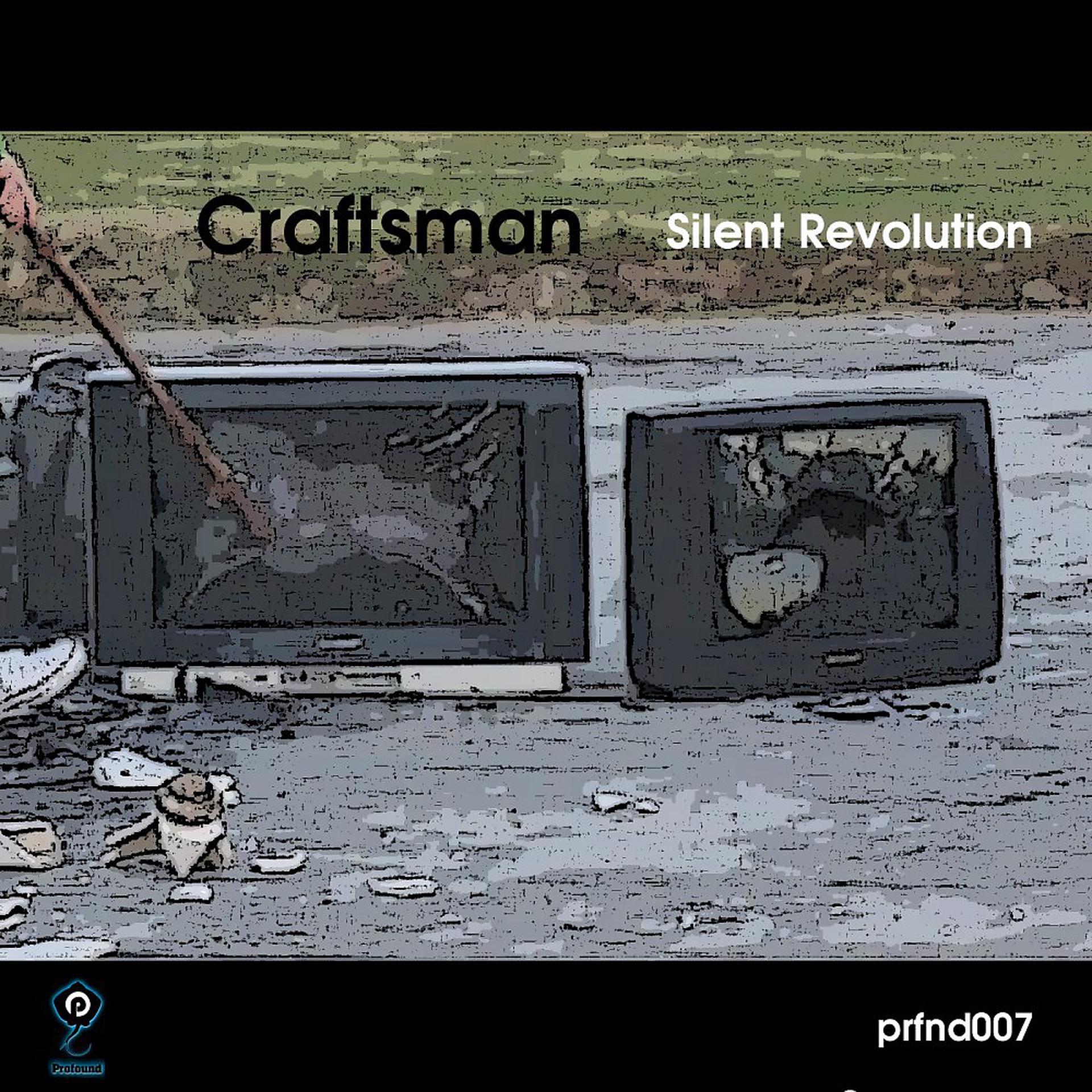 Постер альбома Silent Revolution