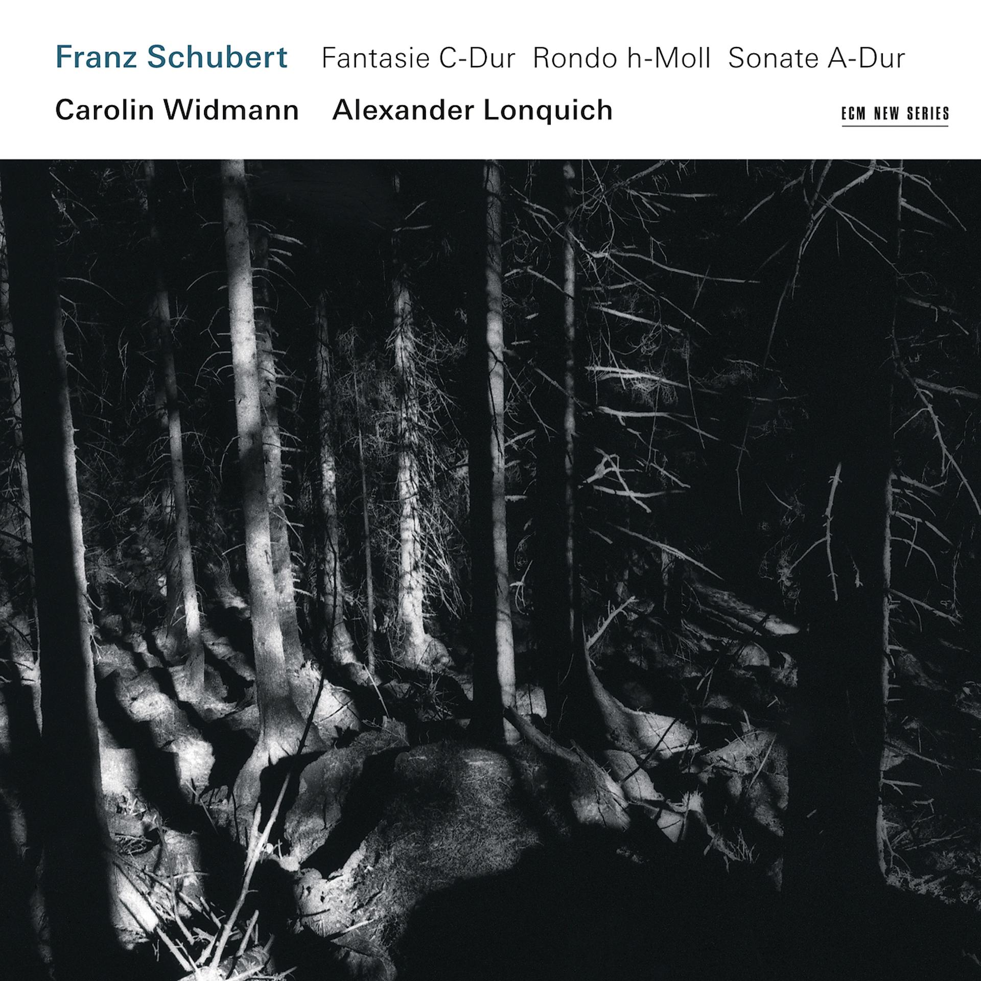 Постер альбома Franz Schubert: Fantasie C-Dur / Rondo h-Moll / Sonate A-Dur