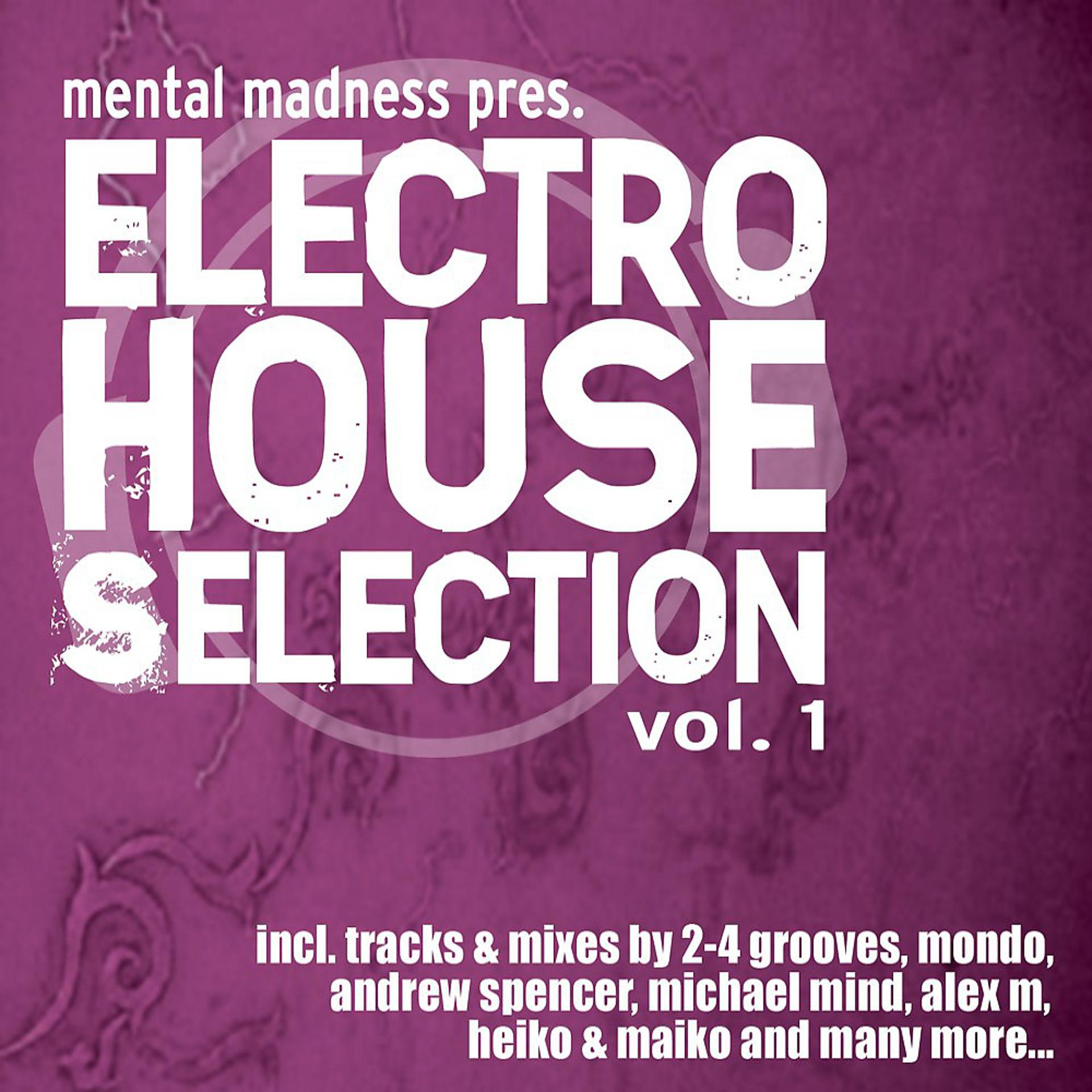 Постер альбома Mental Madness pres. Electro House Selection Vol. 1