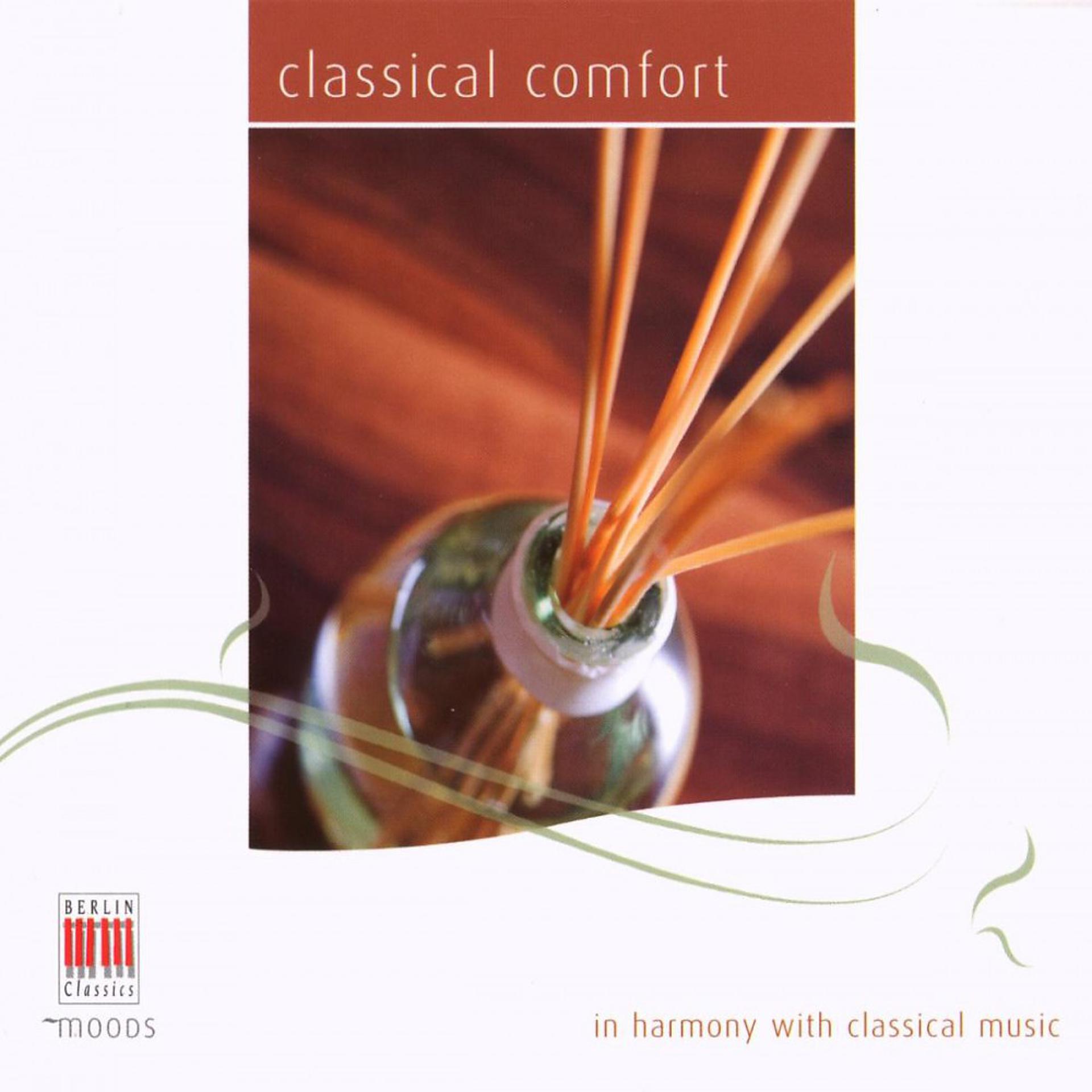 Постер альбома Brahms, Chopin, Schubert, Schumann, Spohr, Mozart, Bartholdy, Haydn & Beethoven: Classical Comfort