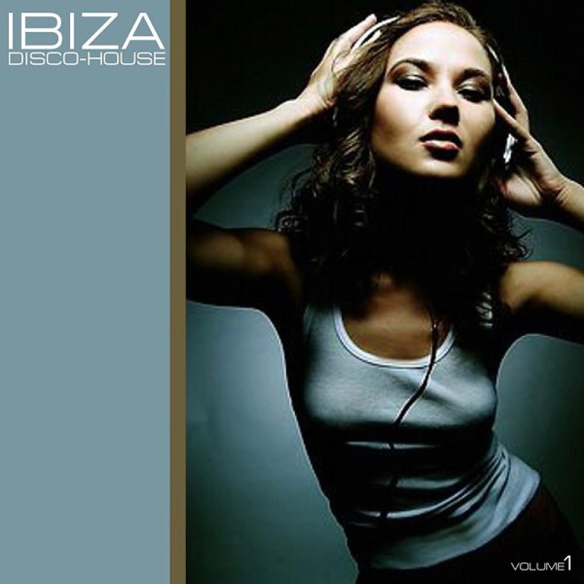 Постер альбома Ibiza Disco House Vol.01