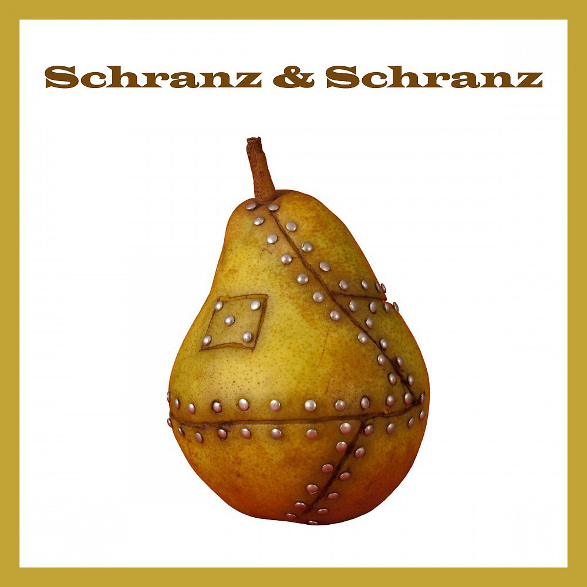 Постер альбома Schranz & Schranz