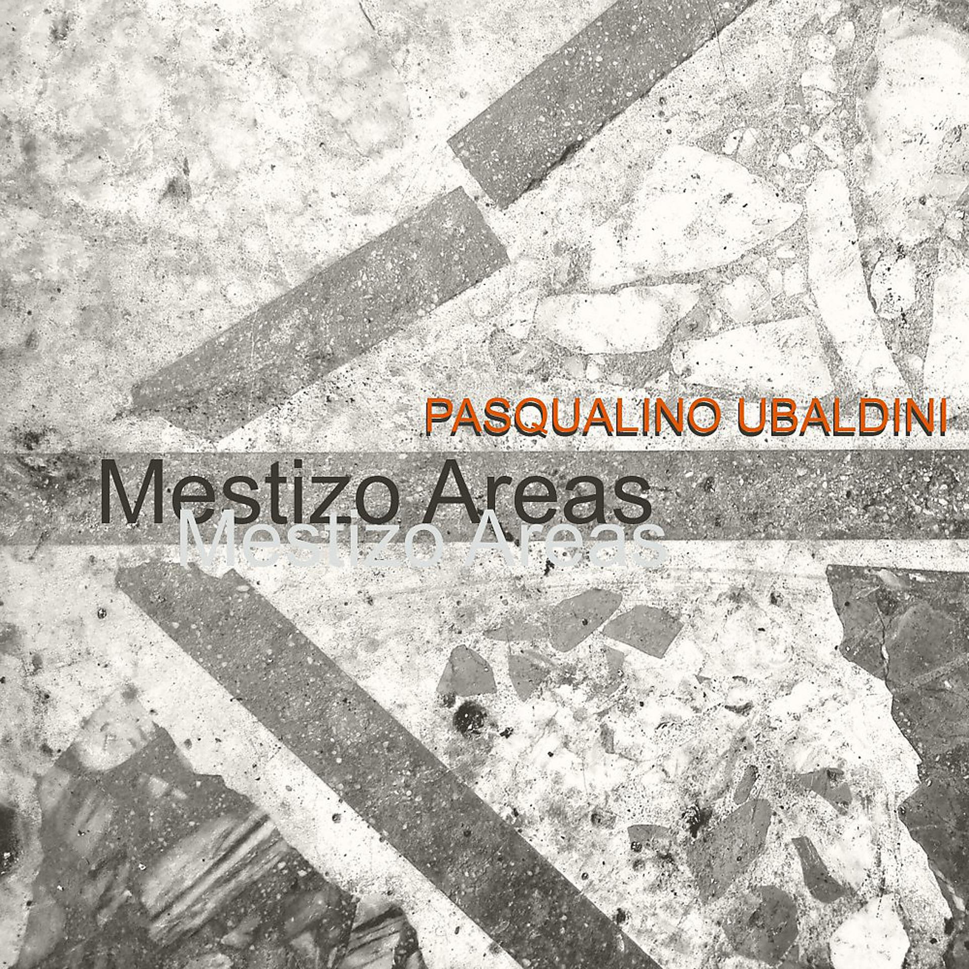 Постер альбома Mestizo Areas