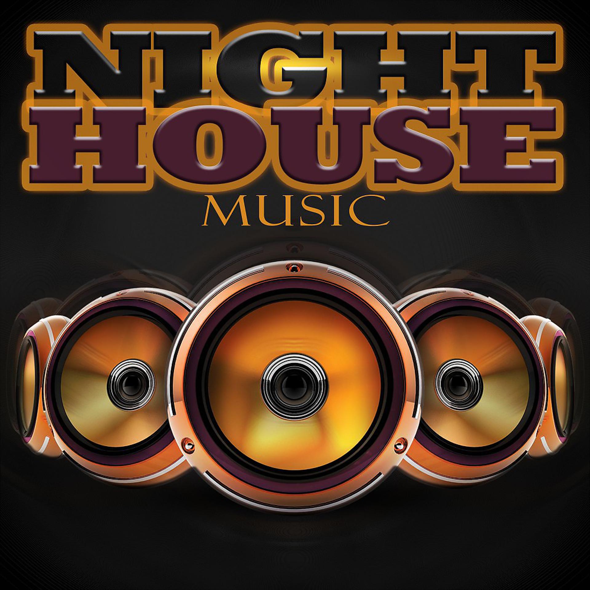 Постер альбома Night House Music