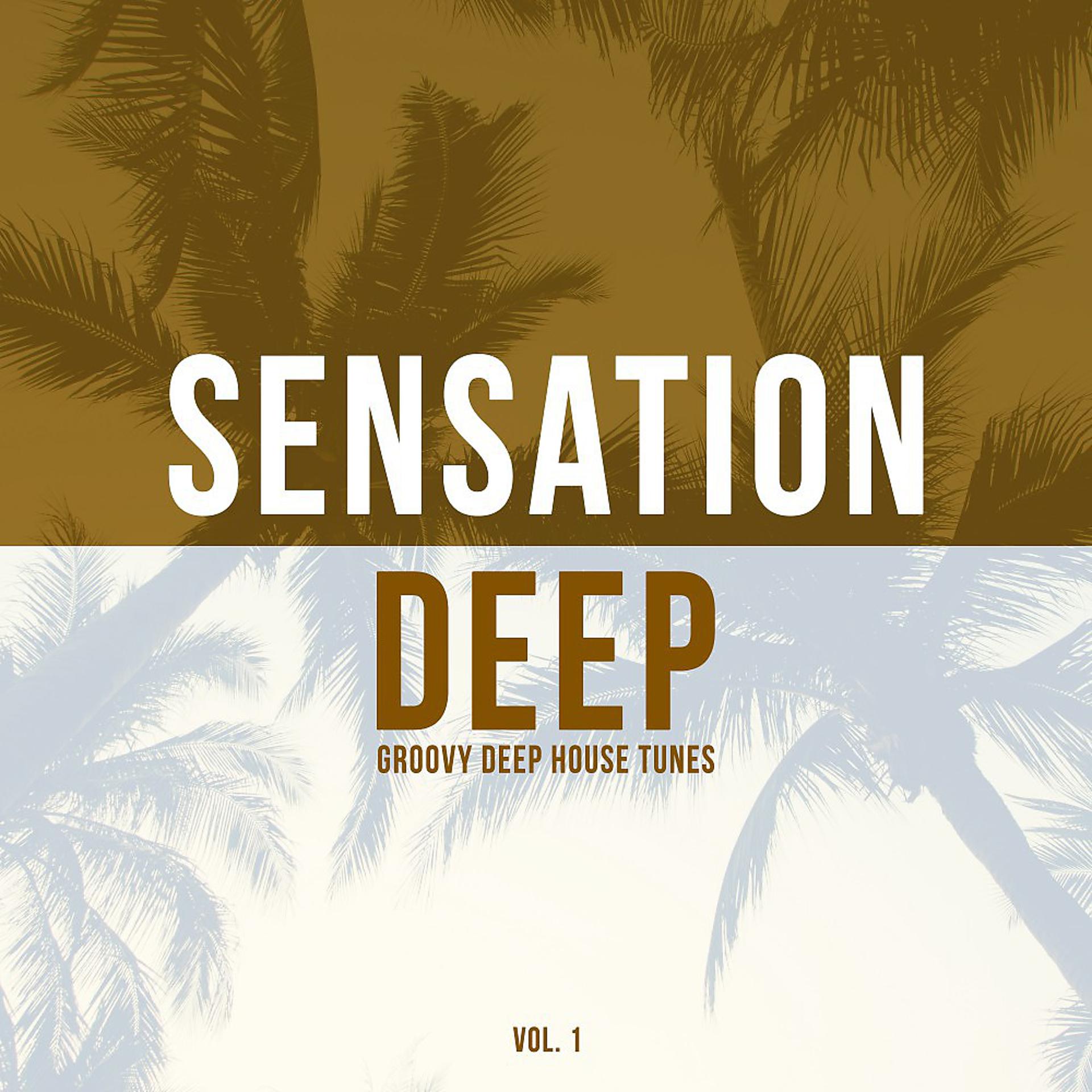 Постер альбома Sensation Deep, Vol. 1 (Groovy Deep House Tunes)