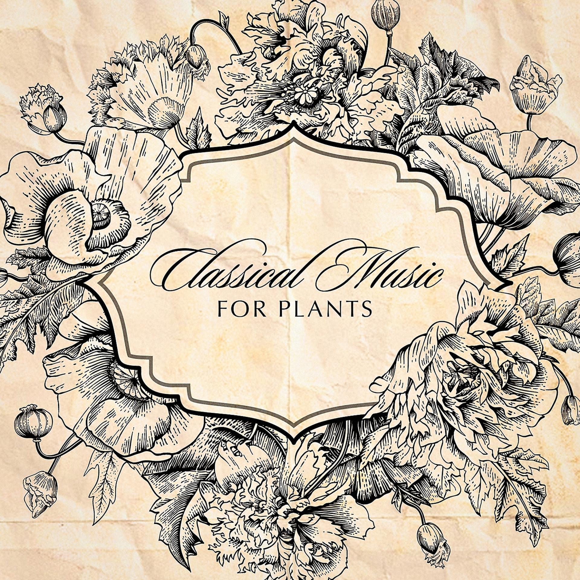 Постер альбома Classical Music for Plants