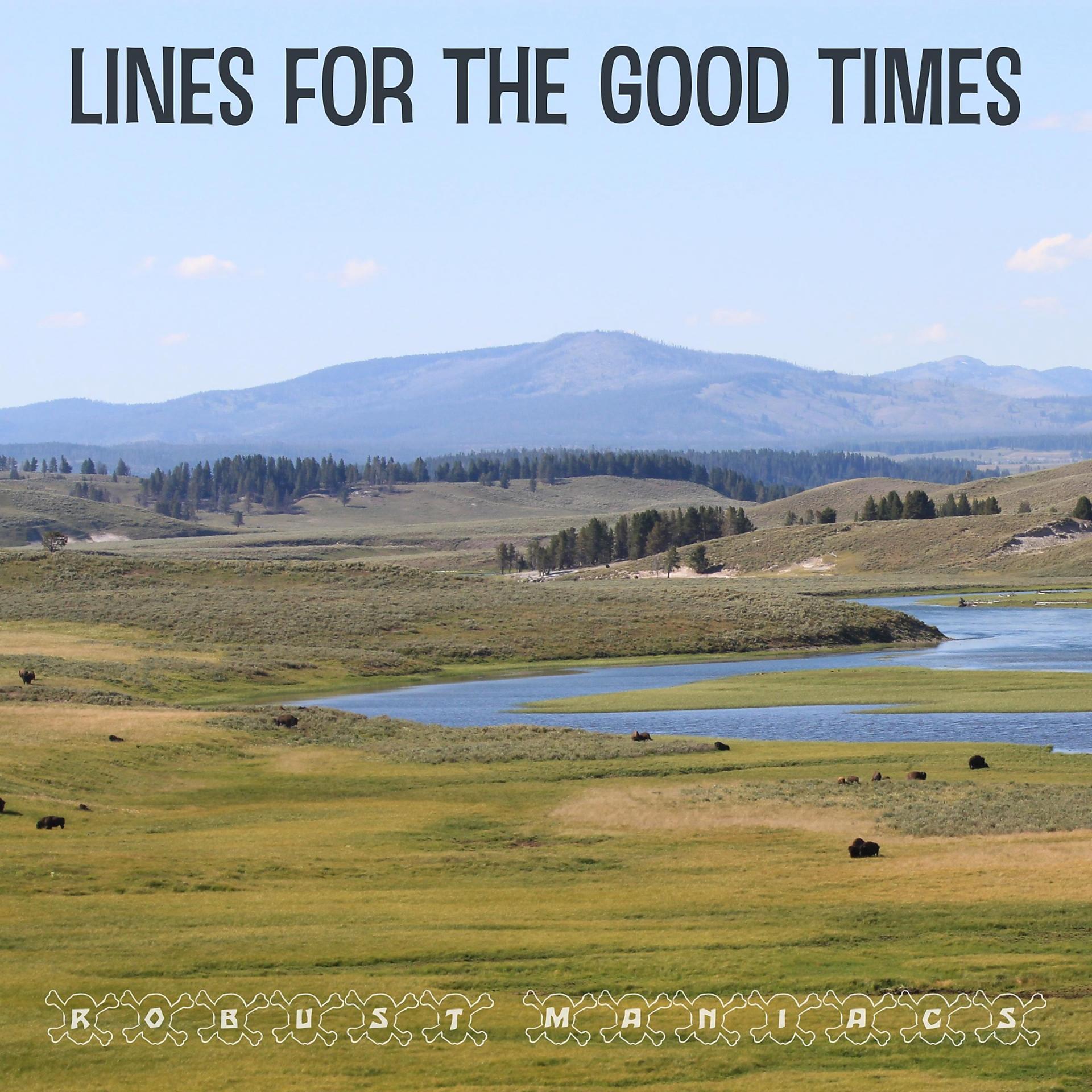 Постер альбома Lines For The Good Times
