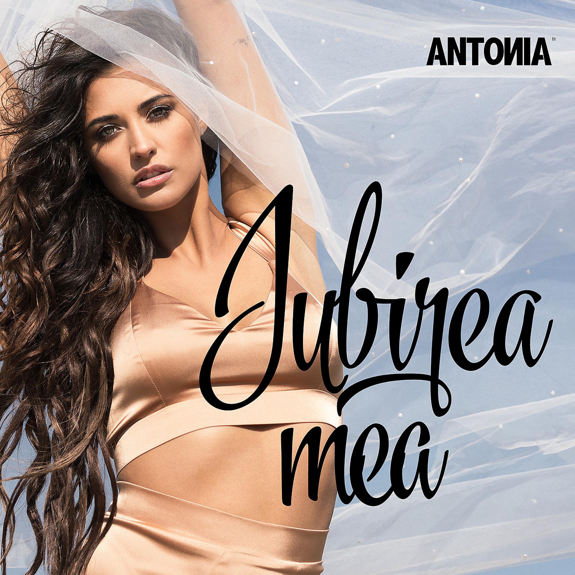 Постер альбома Iubirea Mea
