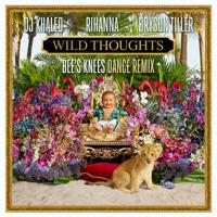 Постер альбома Wild Thoughts (Bee's Knees Dance Remix)