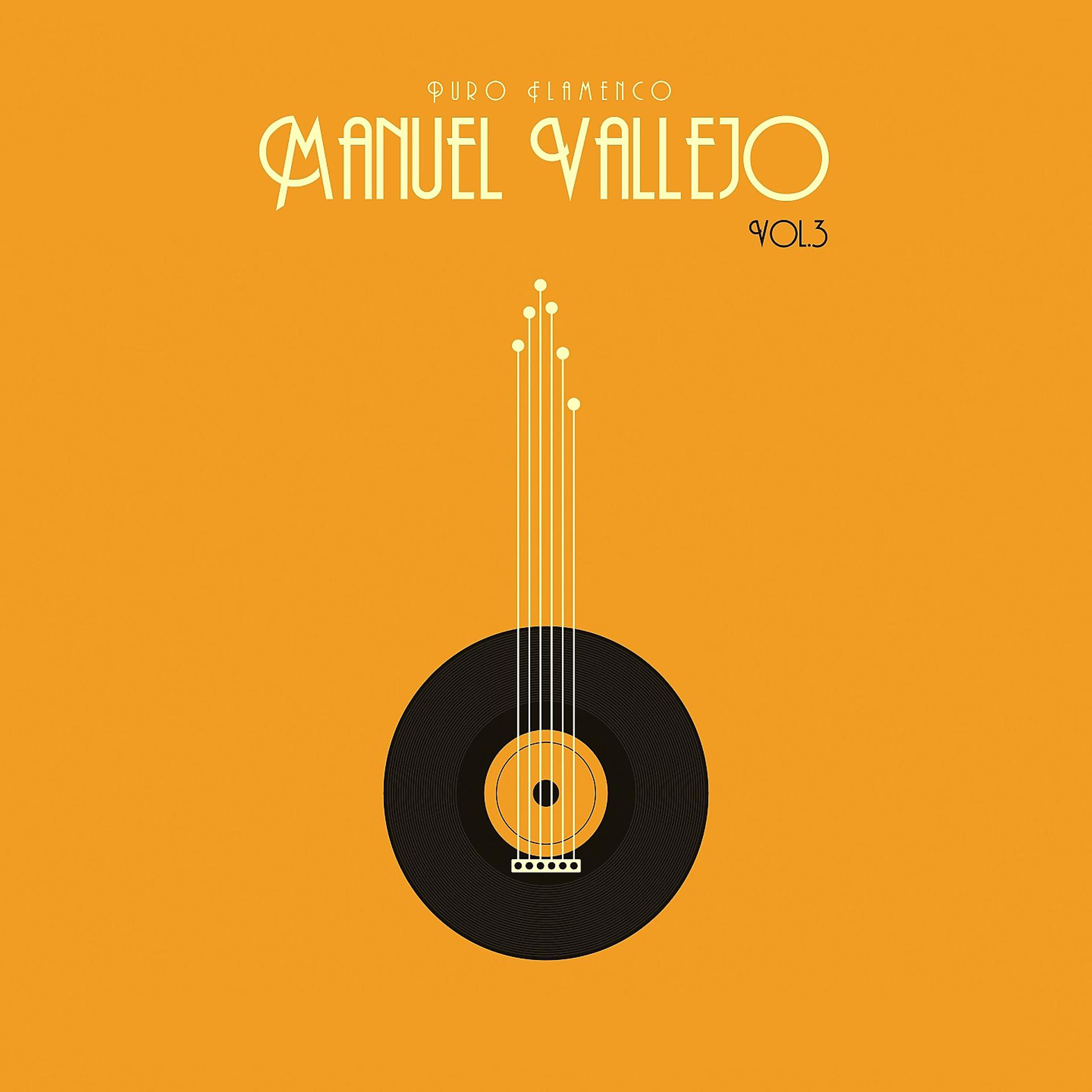 Постер альбома Puro Flamenco - Manuel Vallejo - Vol. 3