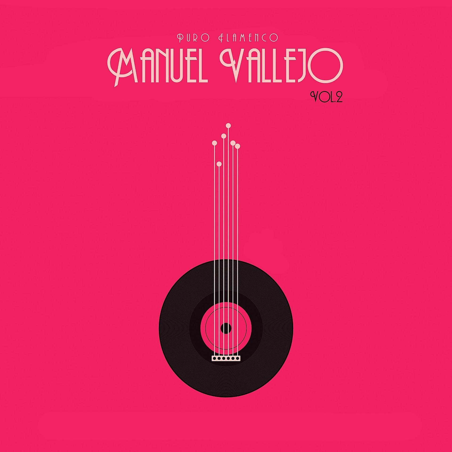 Постер альбома Puro Flamenco - Manuel Vallejo - Vol. 2