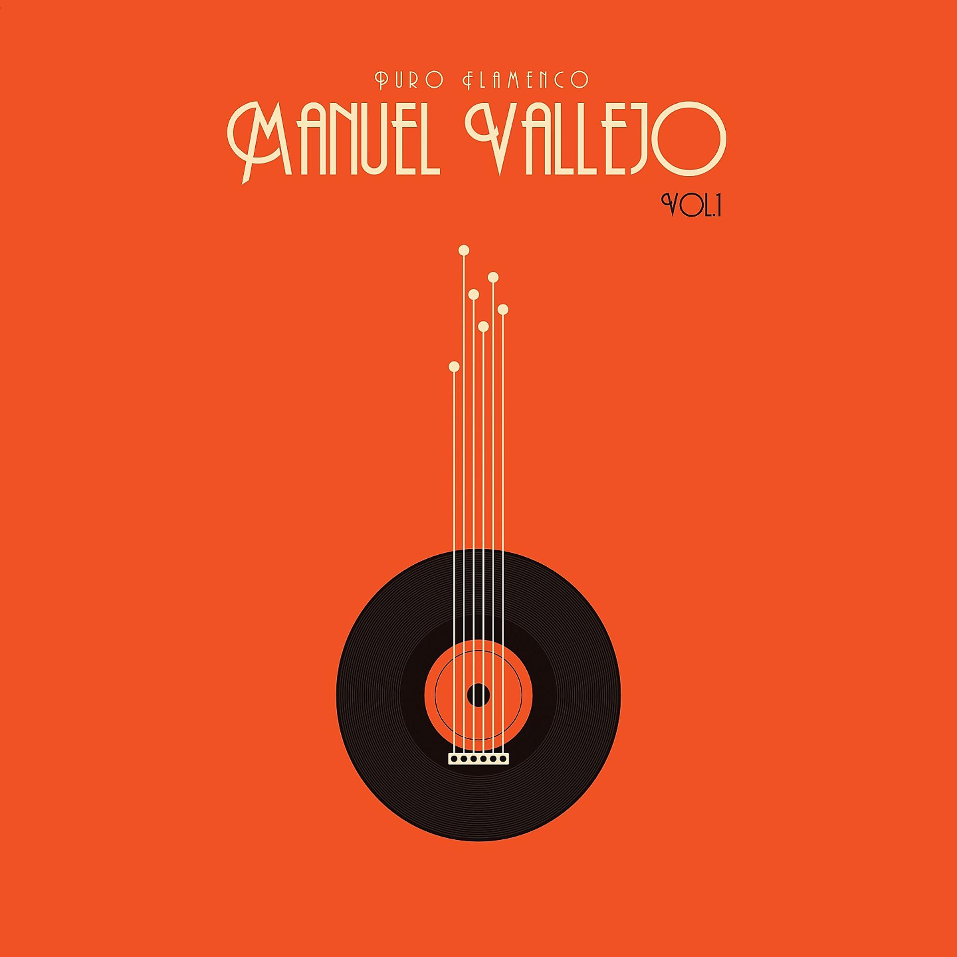 Постер альбома Puro Flamenco - Manuel Vallejo - Vol. 1