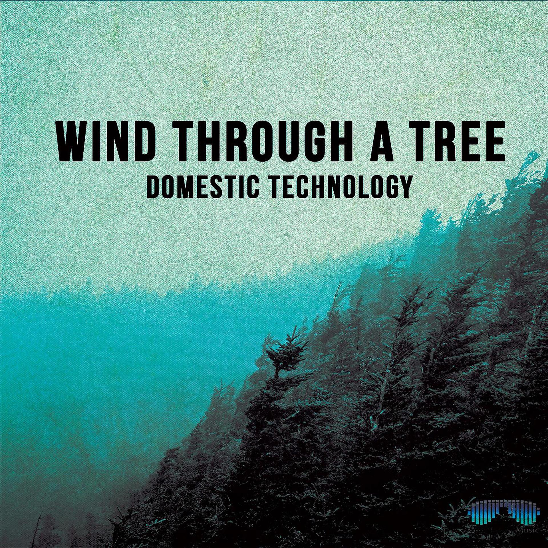 Постер альбома Wind Through a Tree