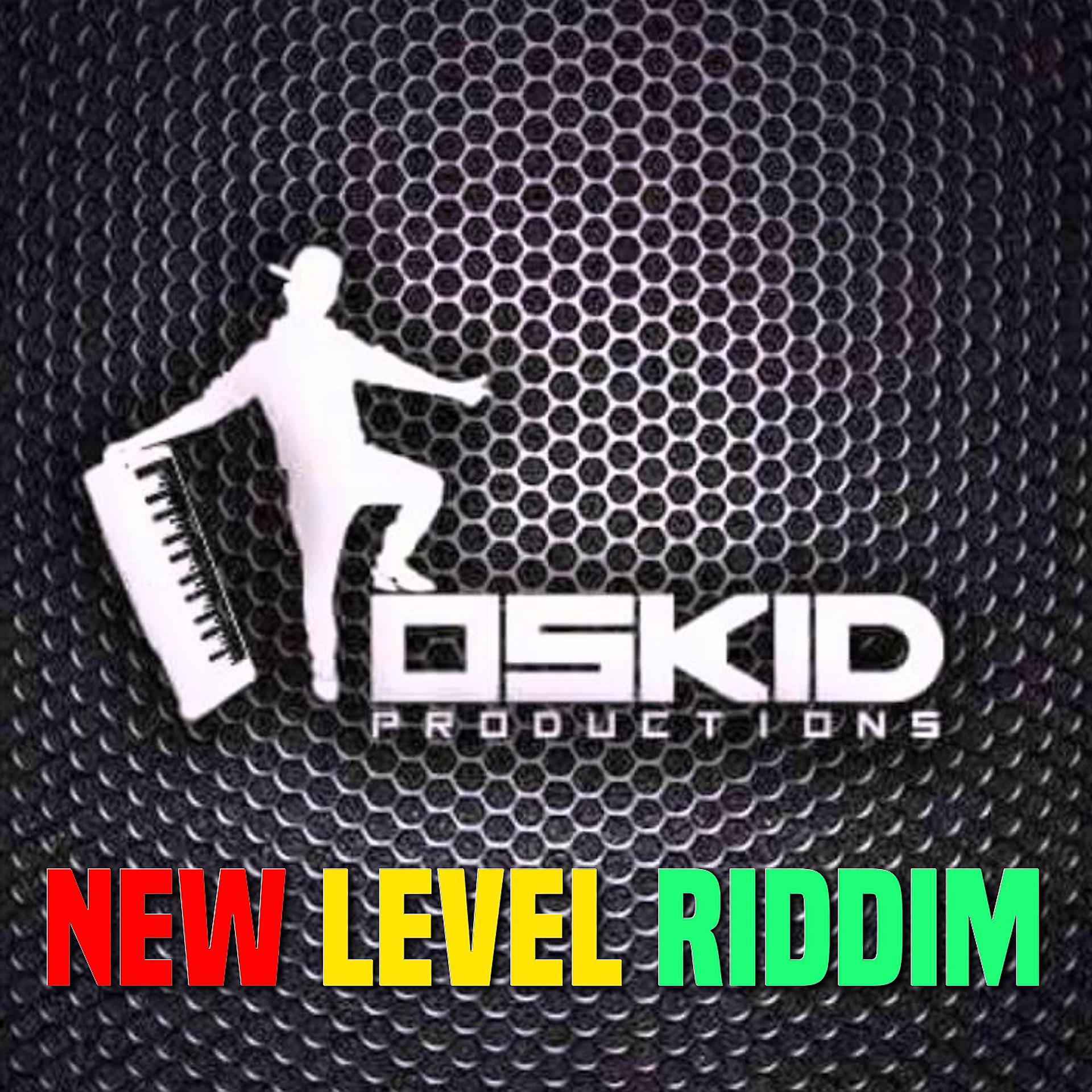Постер альбома New Level Riddim