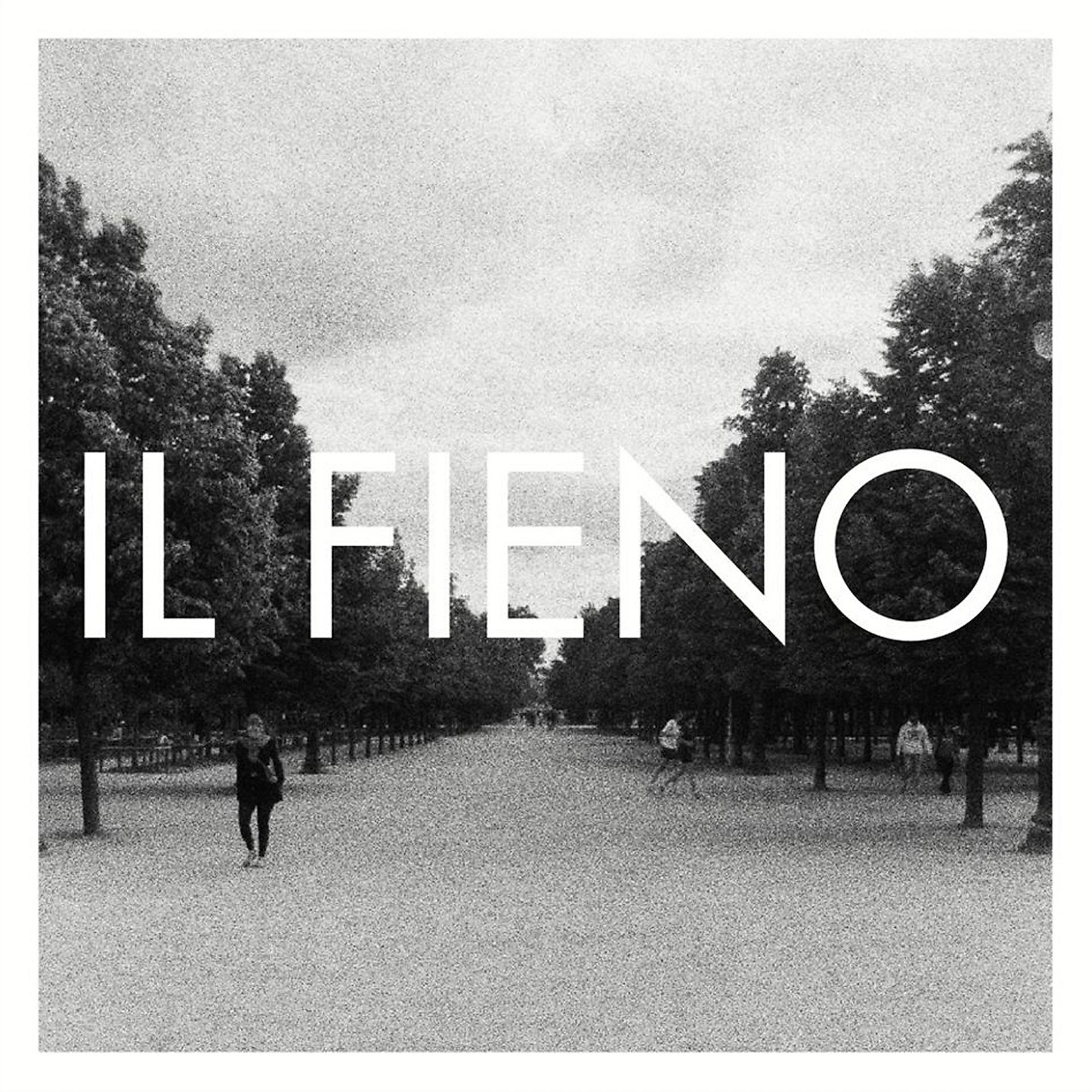 Постер альбома Il Fieno