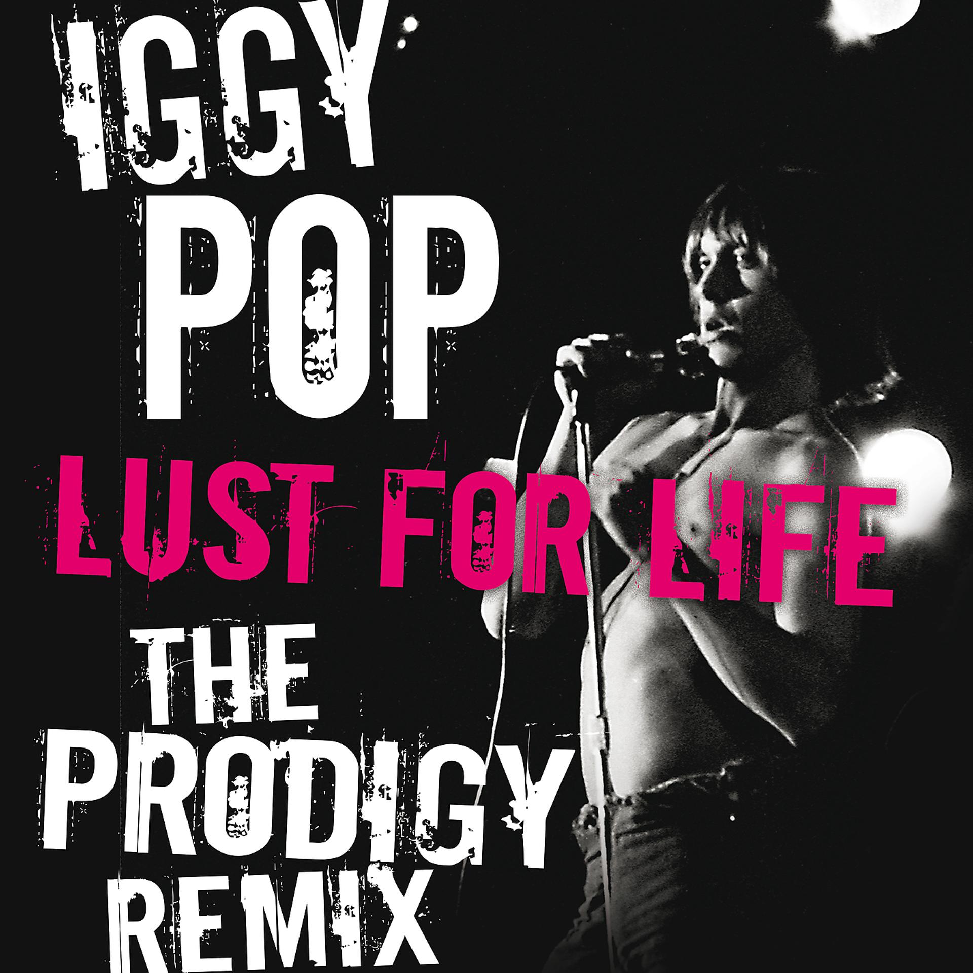 Постер альбома Lust For Life