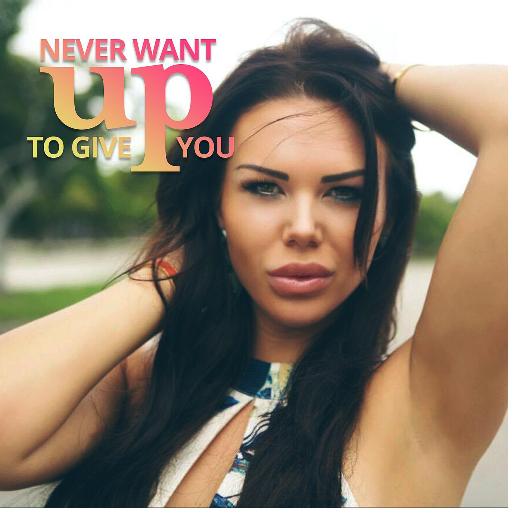 Постер альбома Never Want to Give You Up