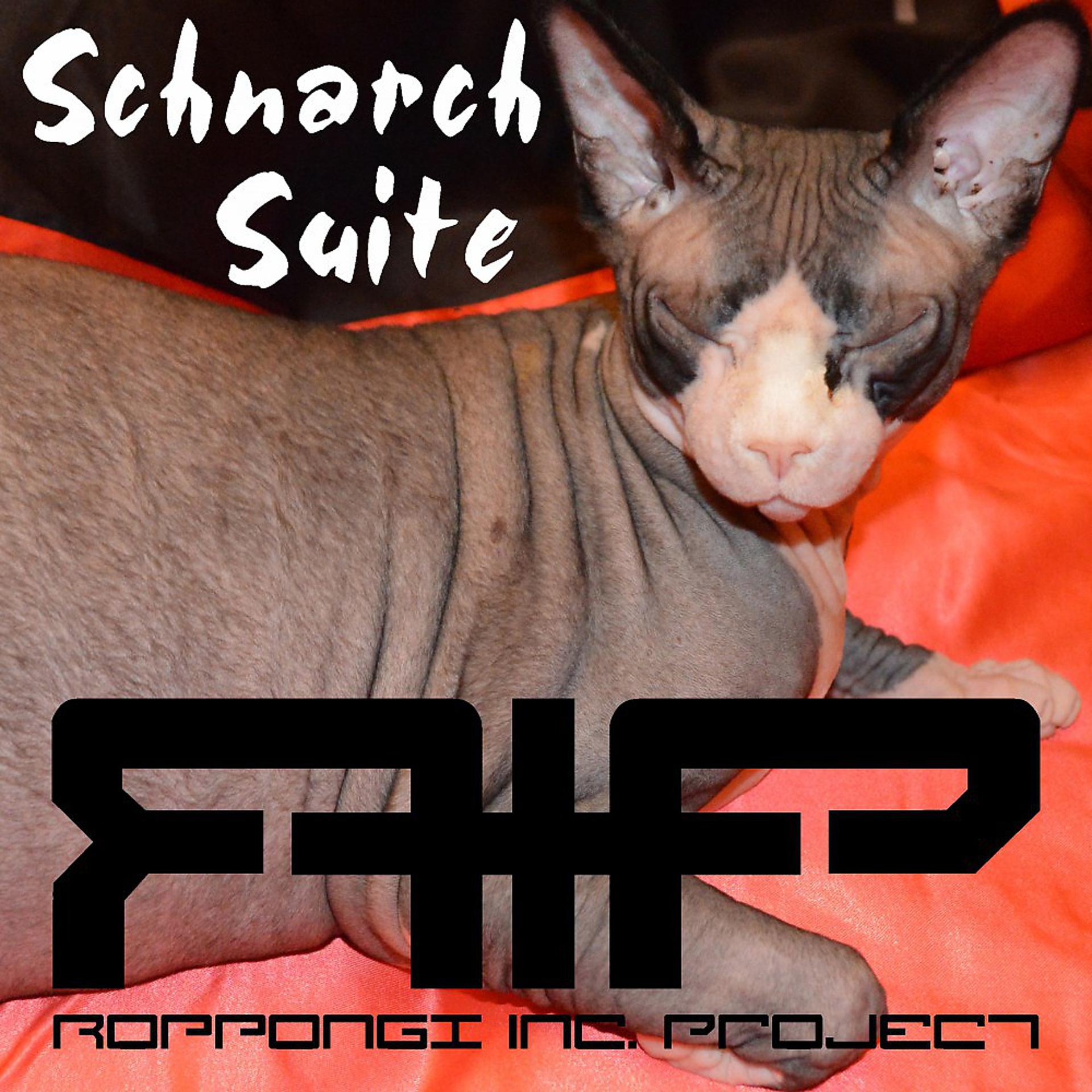 Постер альбома Schnarch Suite