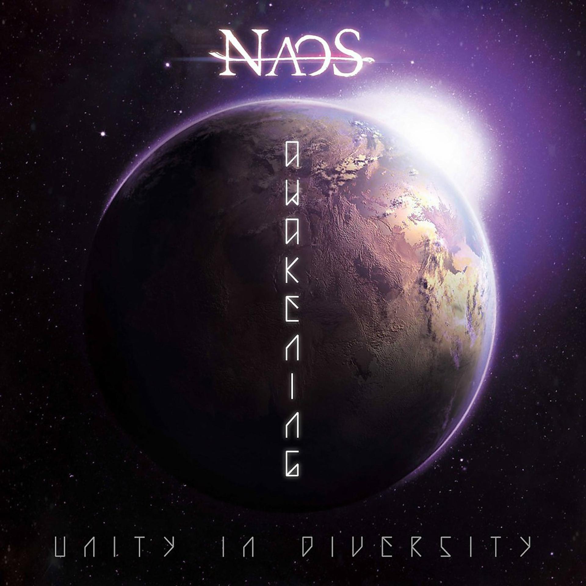 Постер альбома Unity in Diversity - Awakening