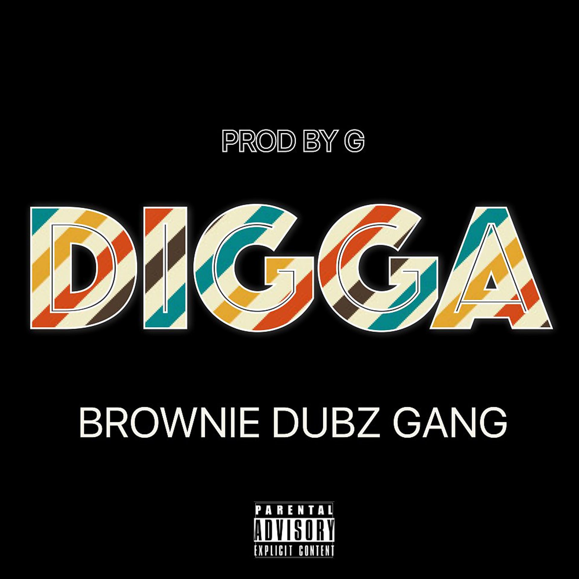 Постер альбома Digga
