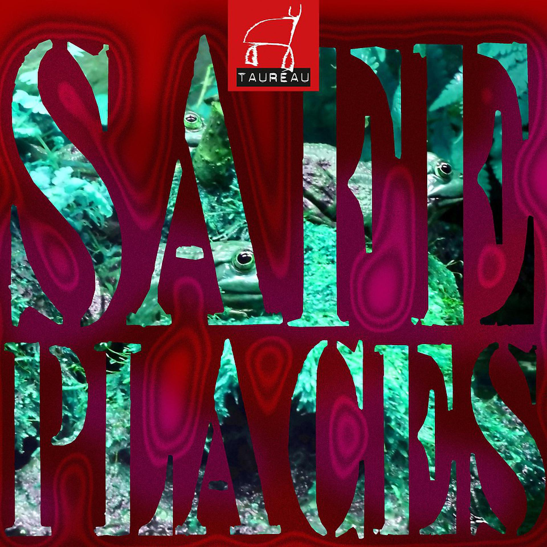 Постер альбома Safe Places