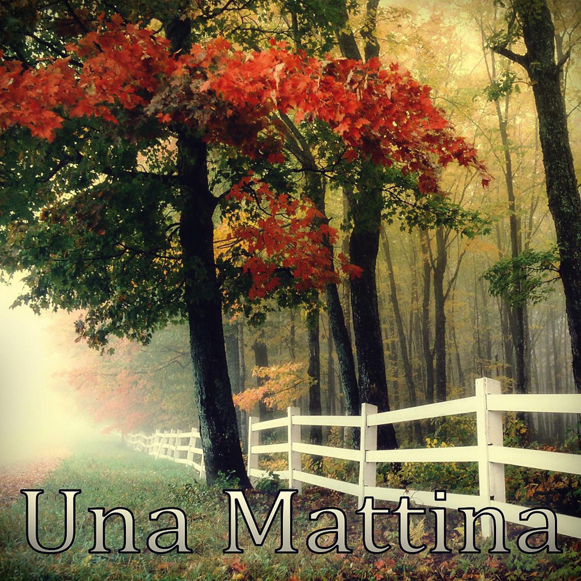 Постер альбома Una Mattina (Long Version)