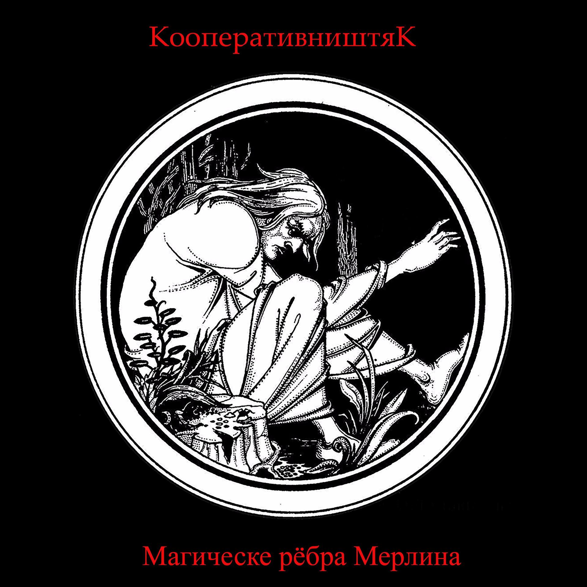 Постер альбома Магические рёбра Мерлина
