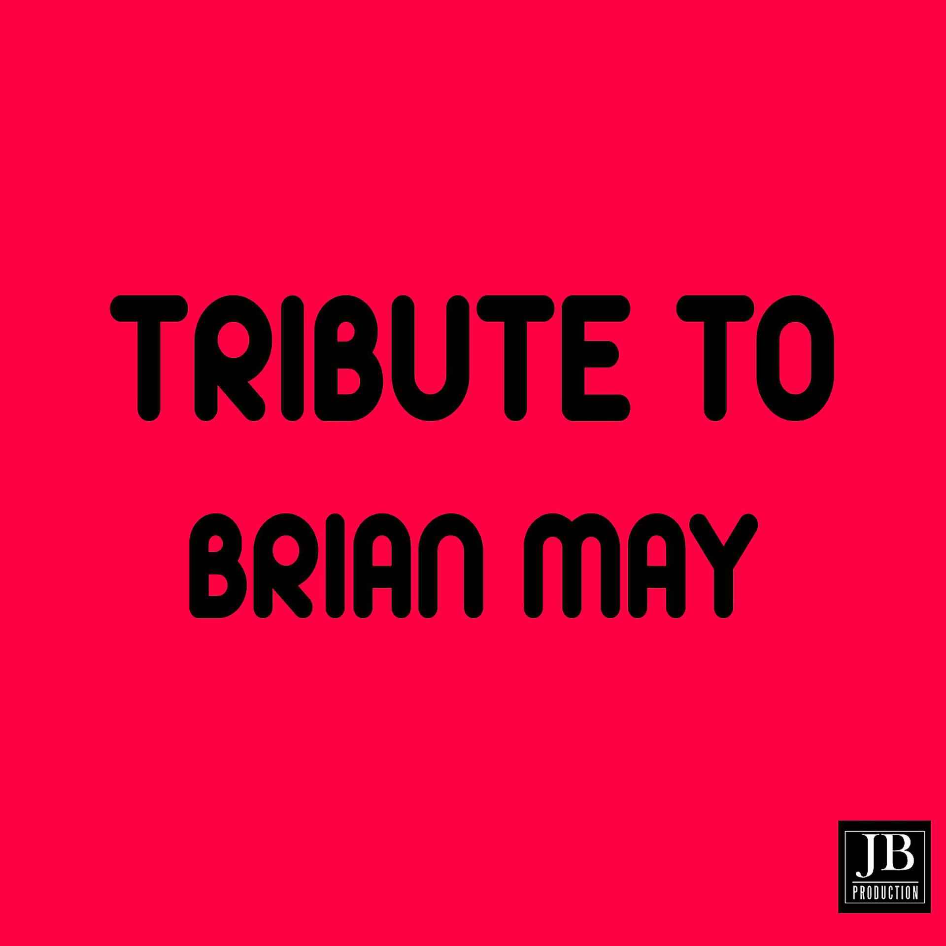 Постер альбома Tribute To Brian May