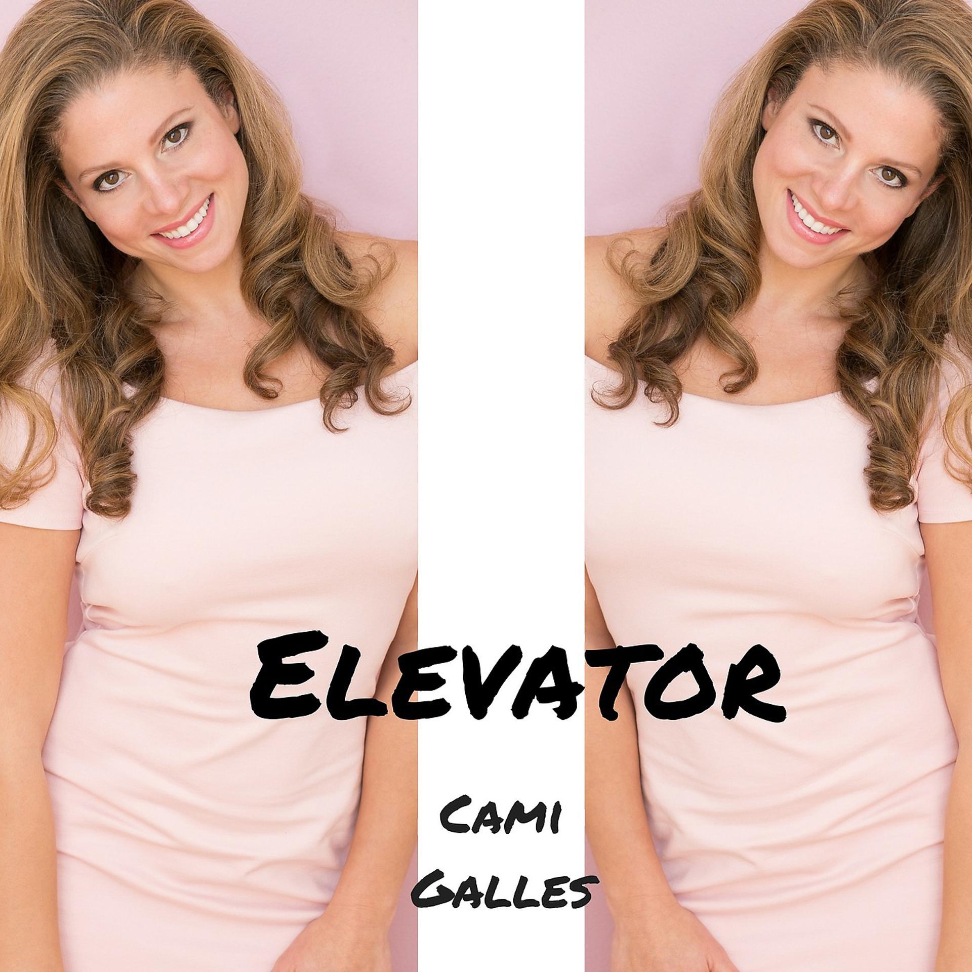 Постер альбома Elevator (feat. Miss Alex White)