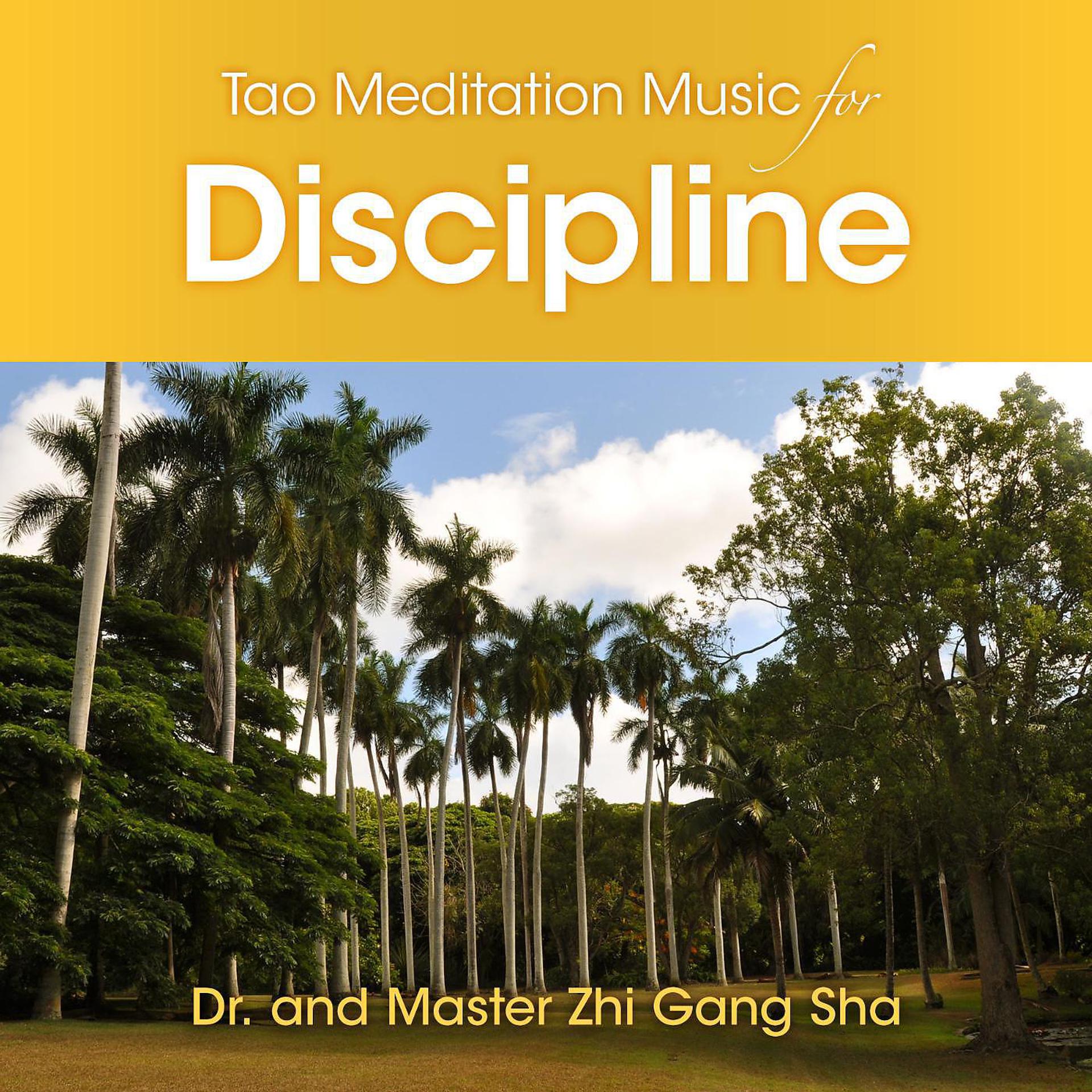 Постер альбома Tao Meditation Music for Discipline