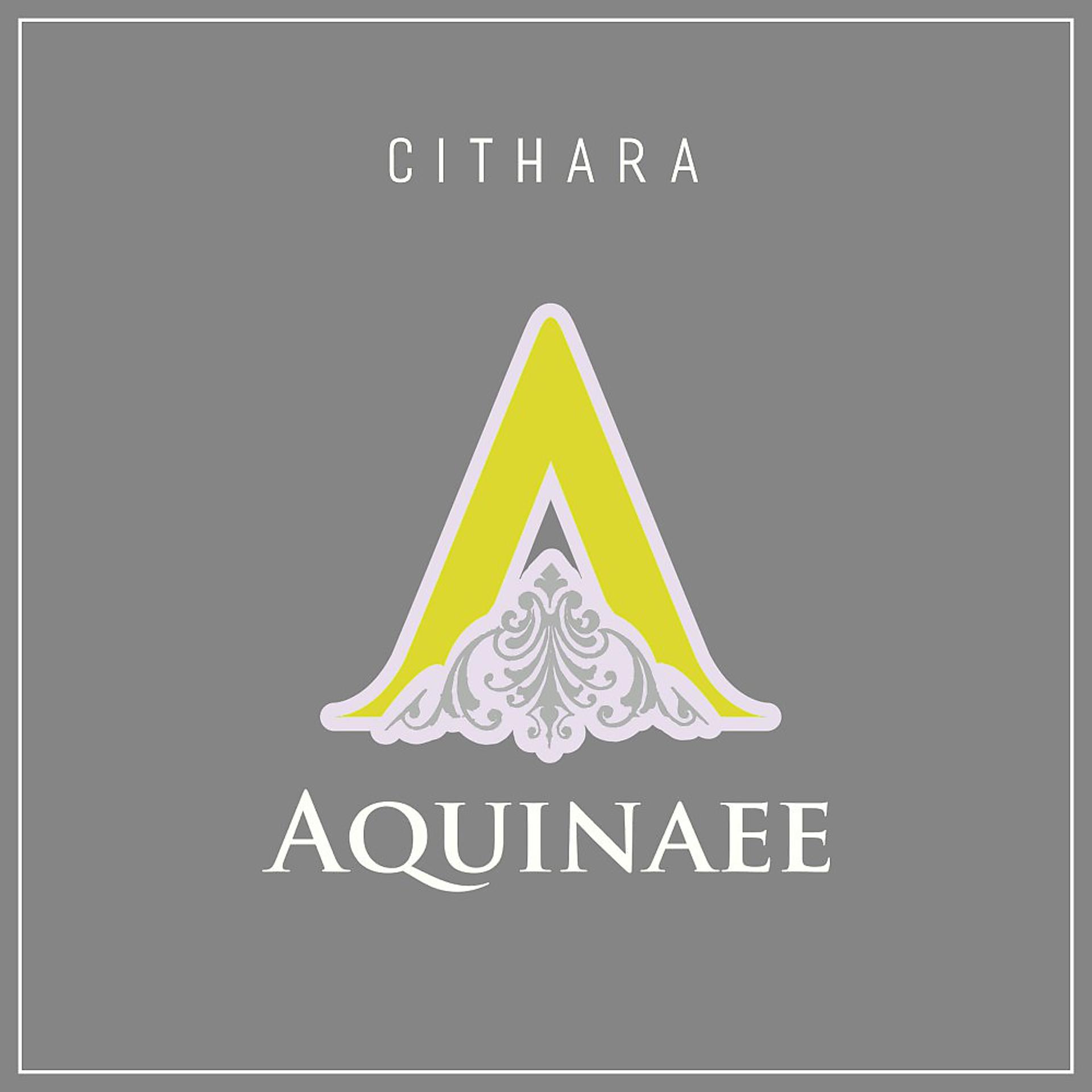 Постер альбома Cithara