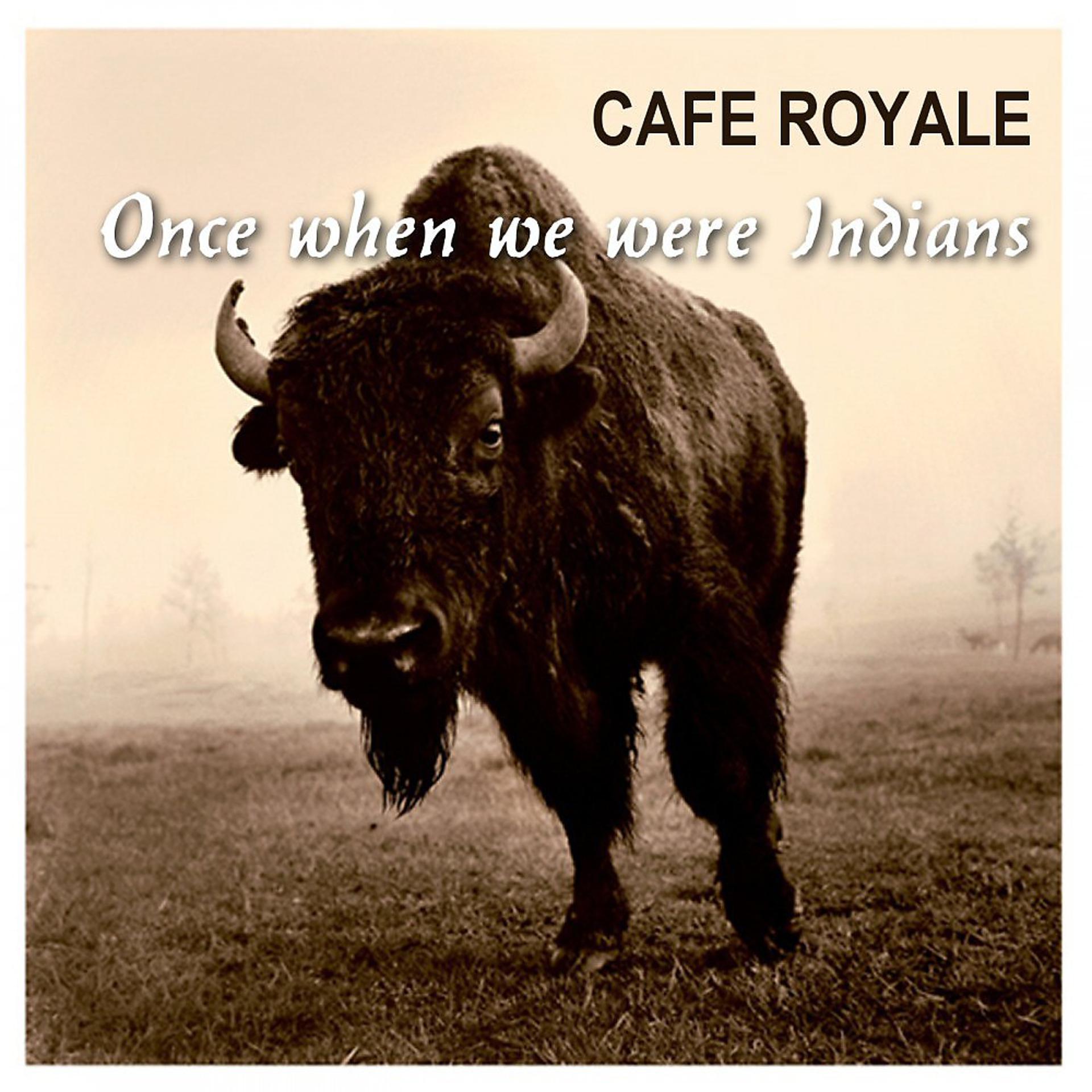 Постер альбома Once When We Were Indians