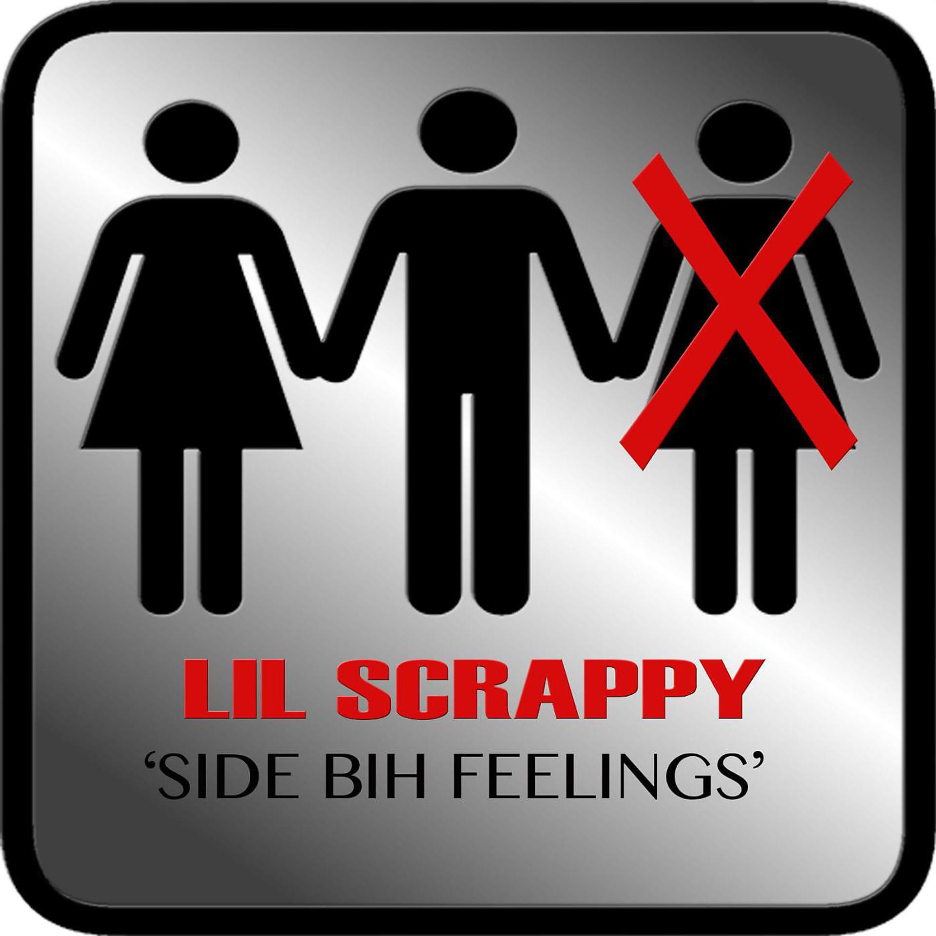 Постер альбома Side Bih Feelings