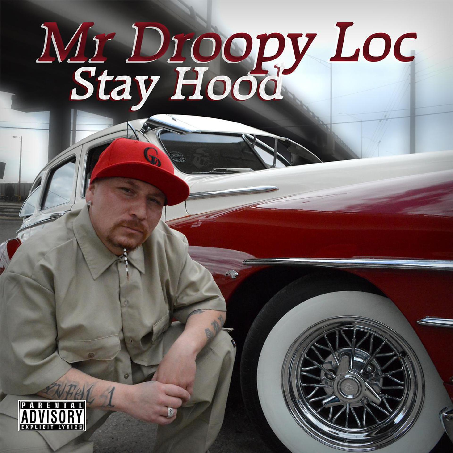 Постер альбома Stay Hood