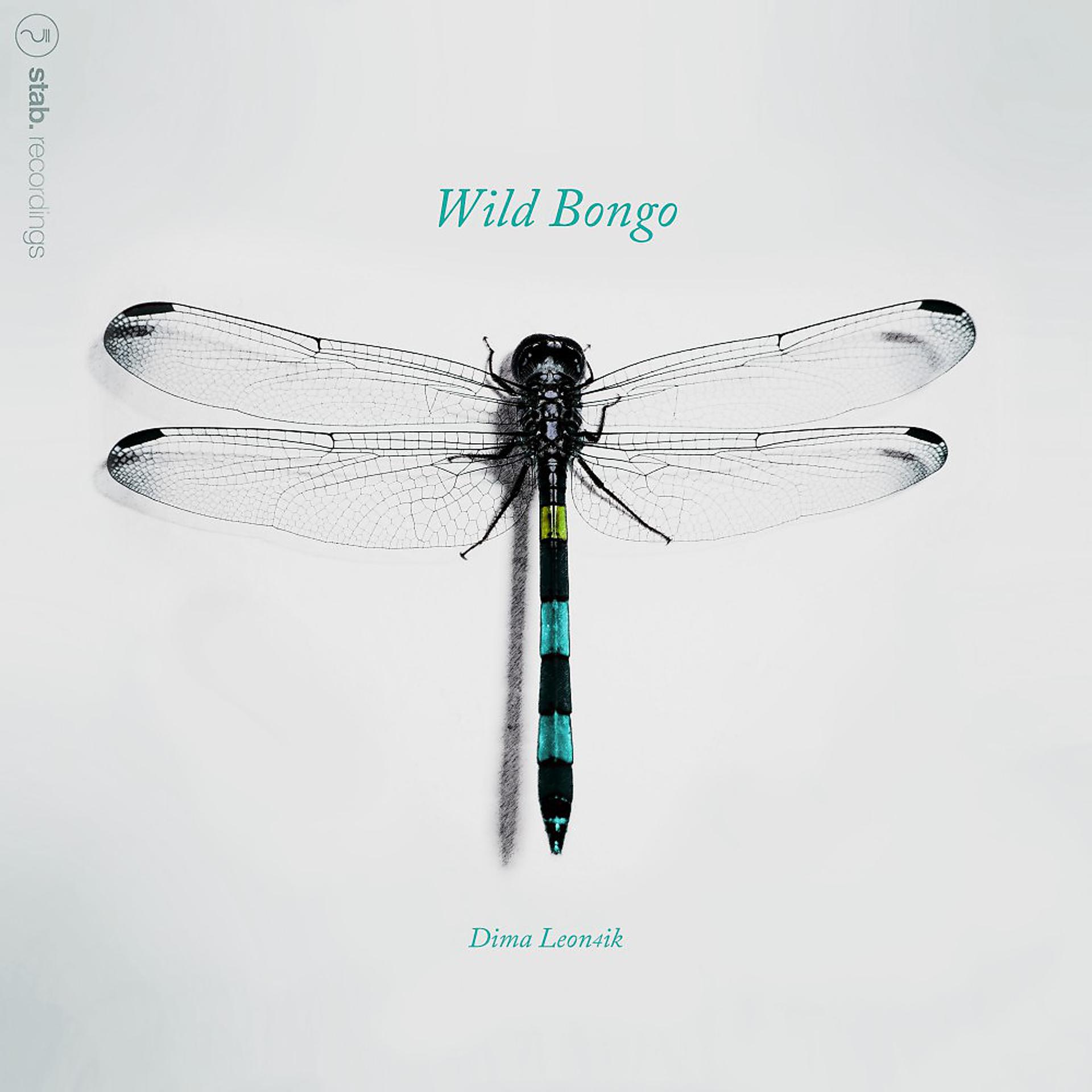 Постер альбома Wild Bongo