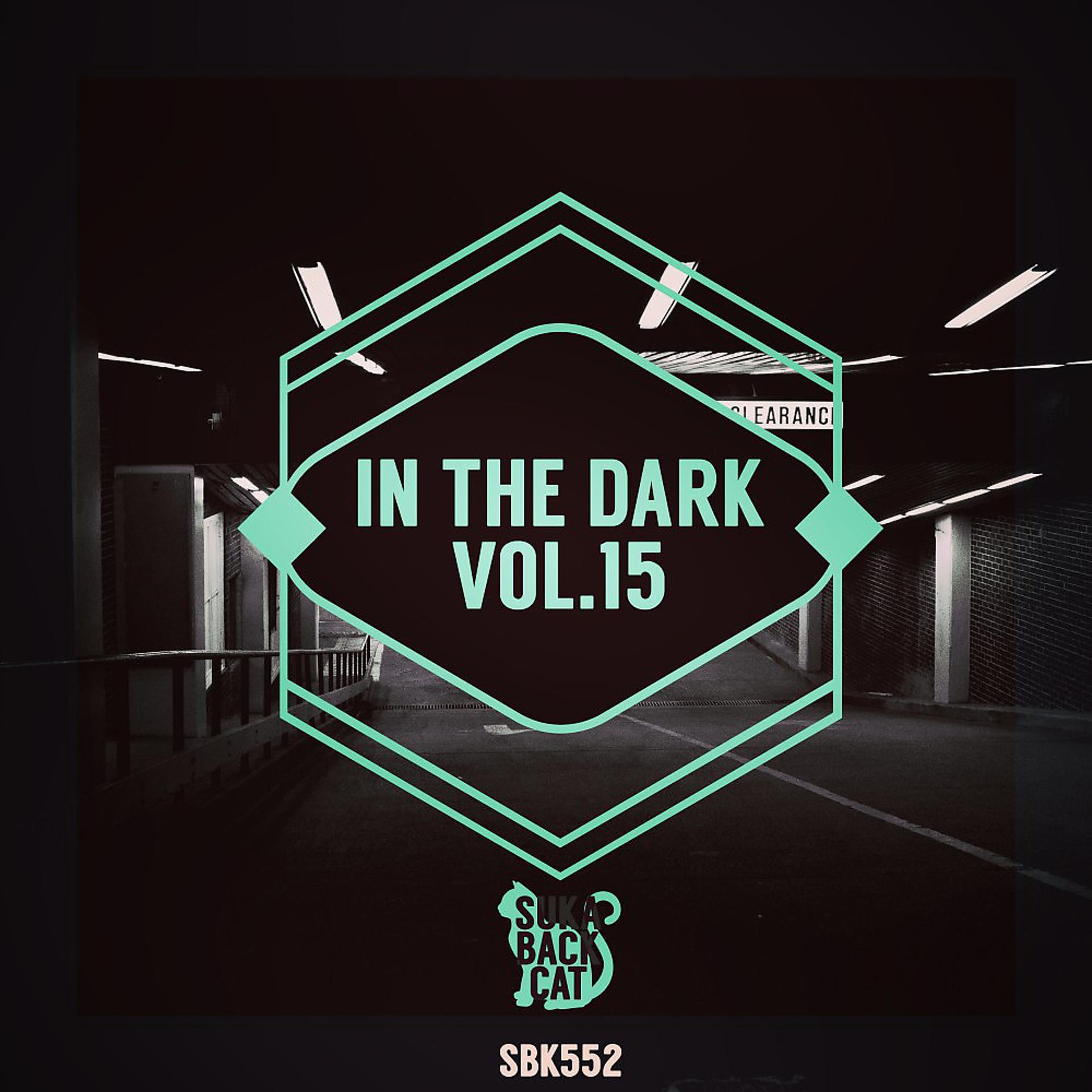 Постер альбома In the Dark, Vol. 15