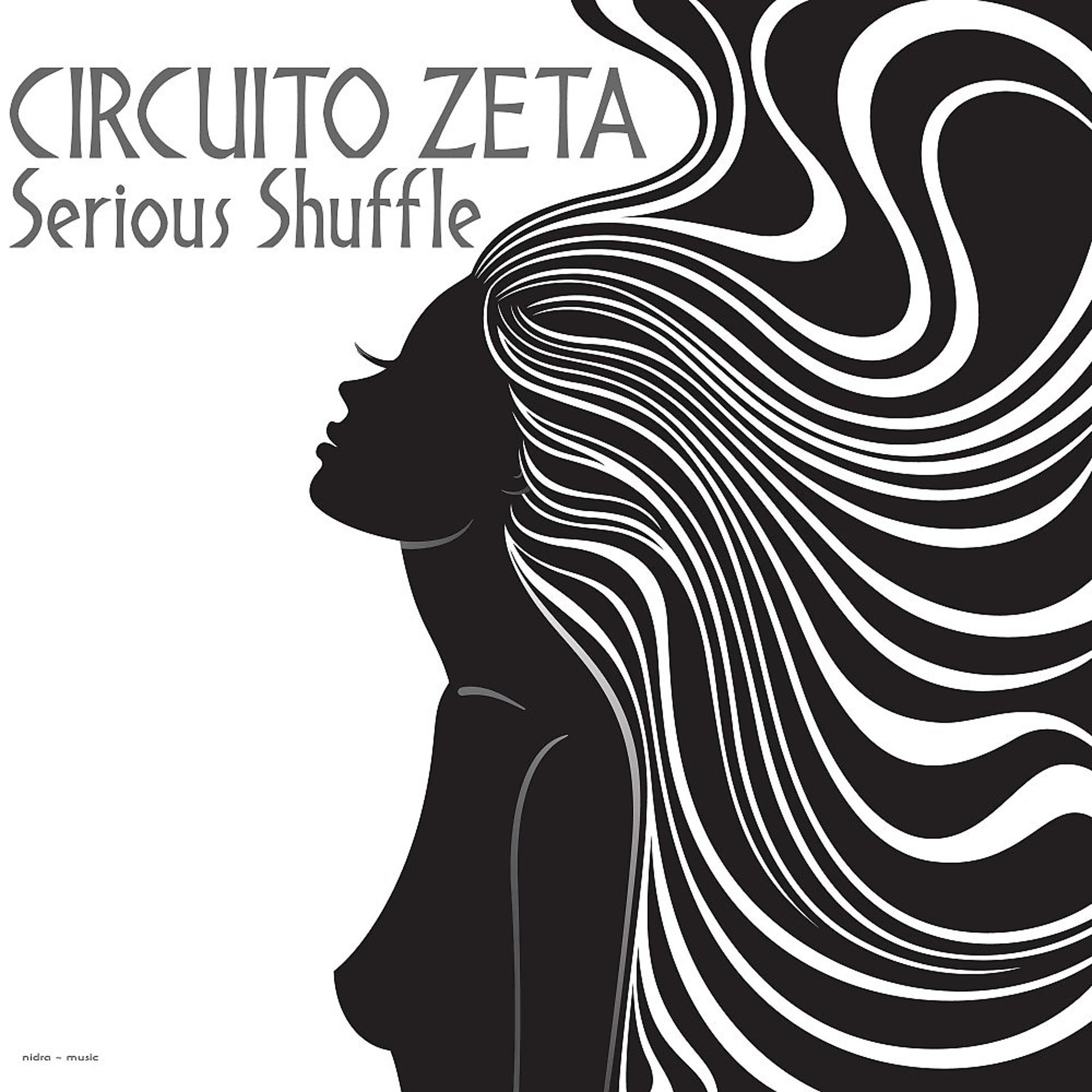 Постер альбома Serious Shuffle