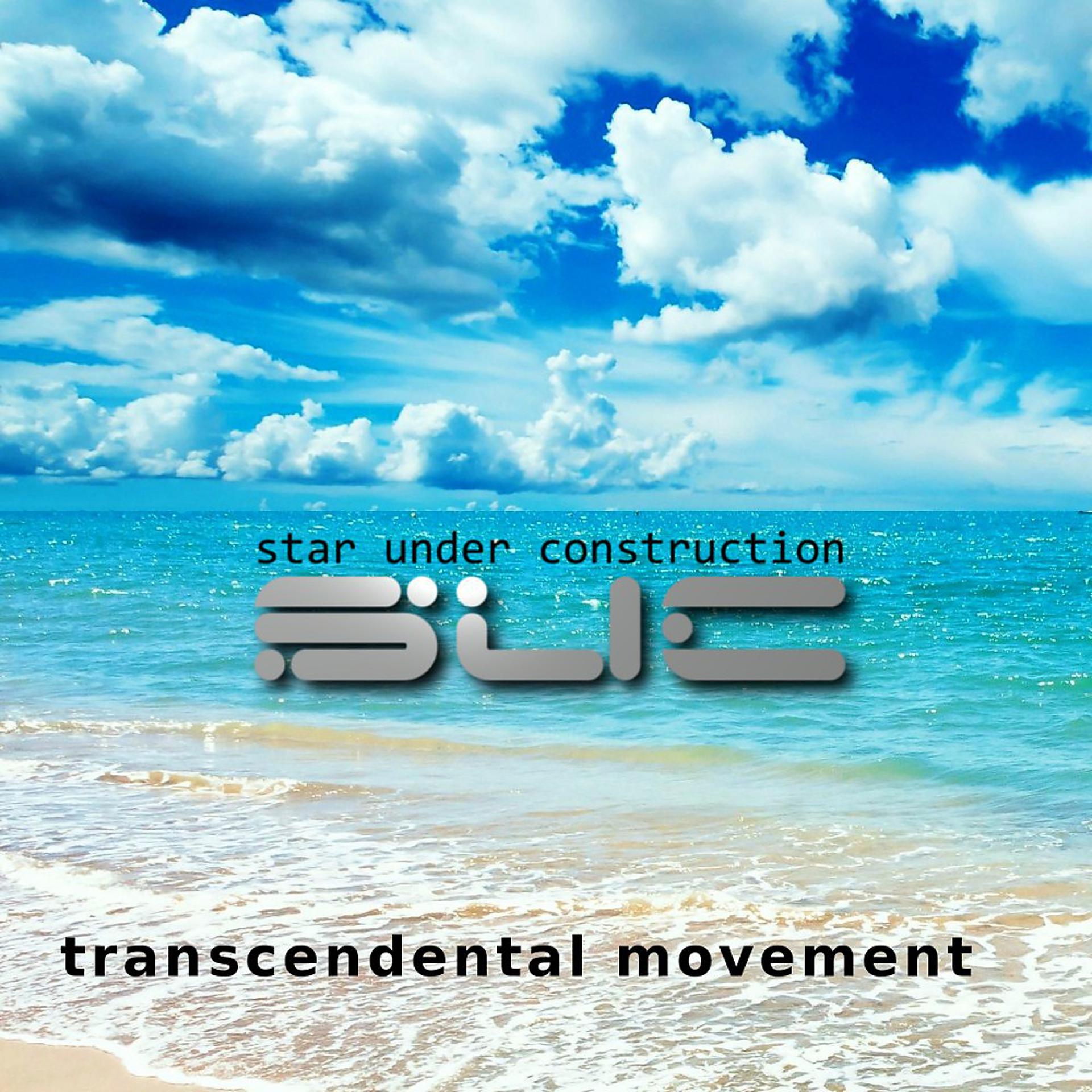 Постер альбома Transcendental Movement