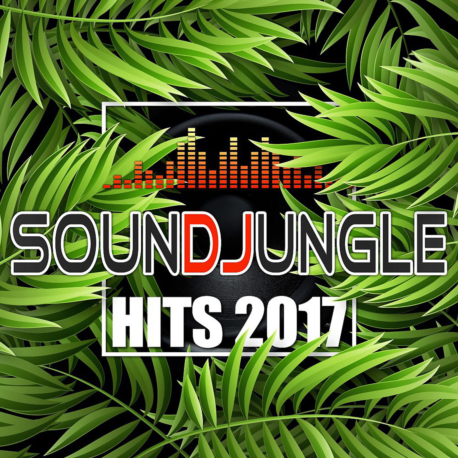 Постер альбома Soundjungle: Hits 2017