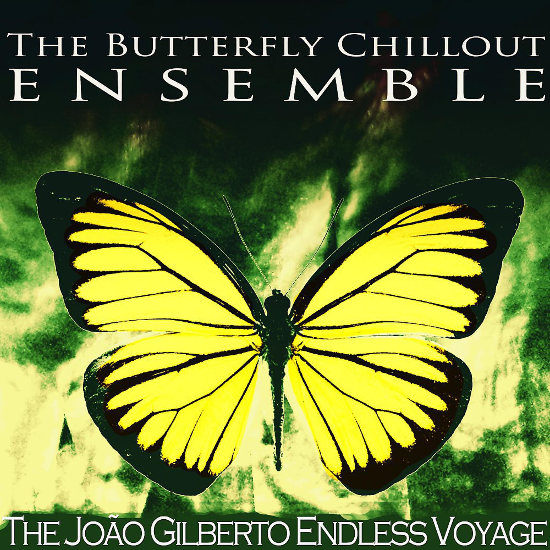 Постер альбома The João Gilberto Endless Voyage