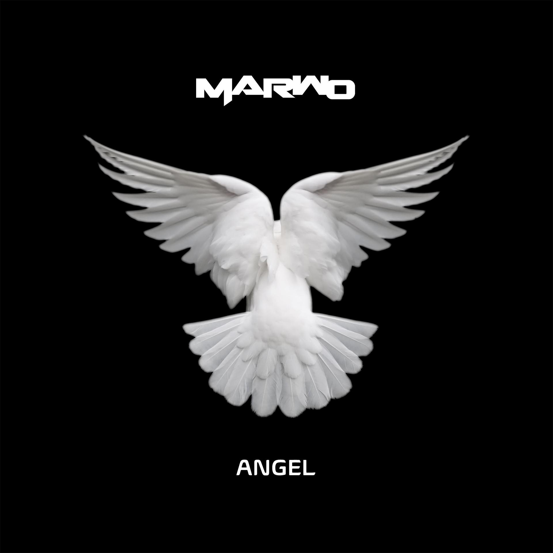 Постер альбома Angel (Radio Edit)
