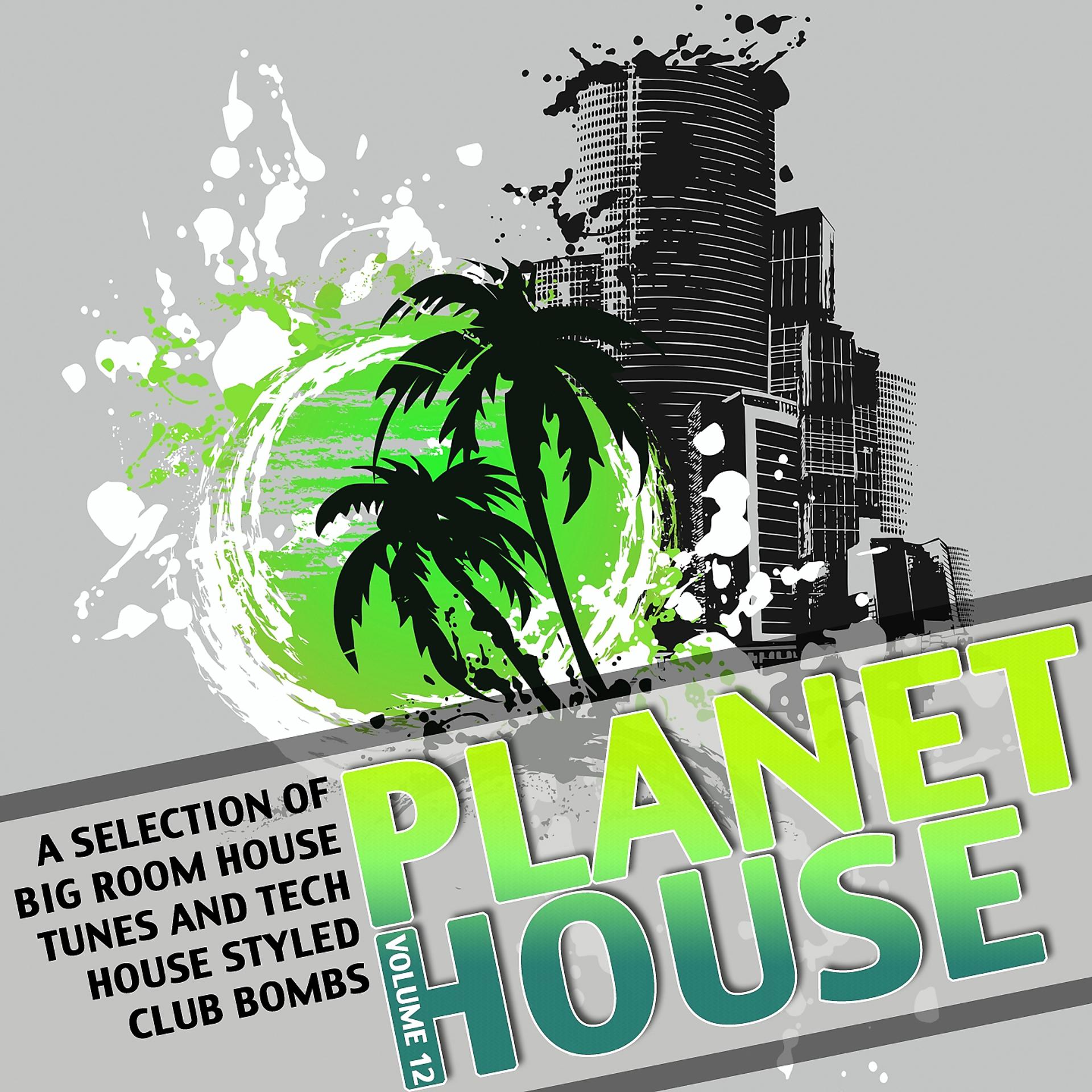 Постер альбома Planet House, Vol. 12