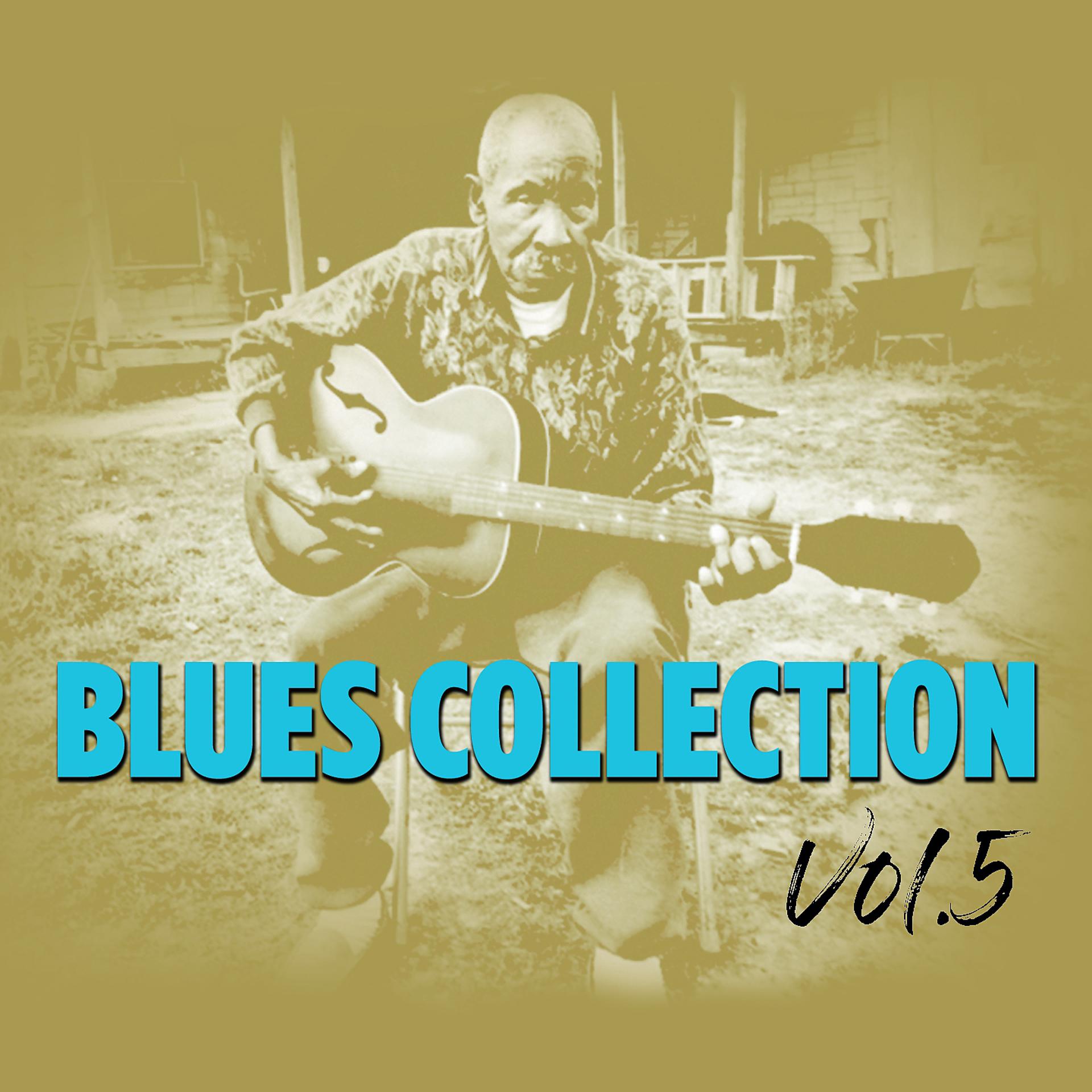 Постер альбома Blues Collection, Vol. 5