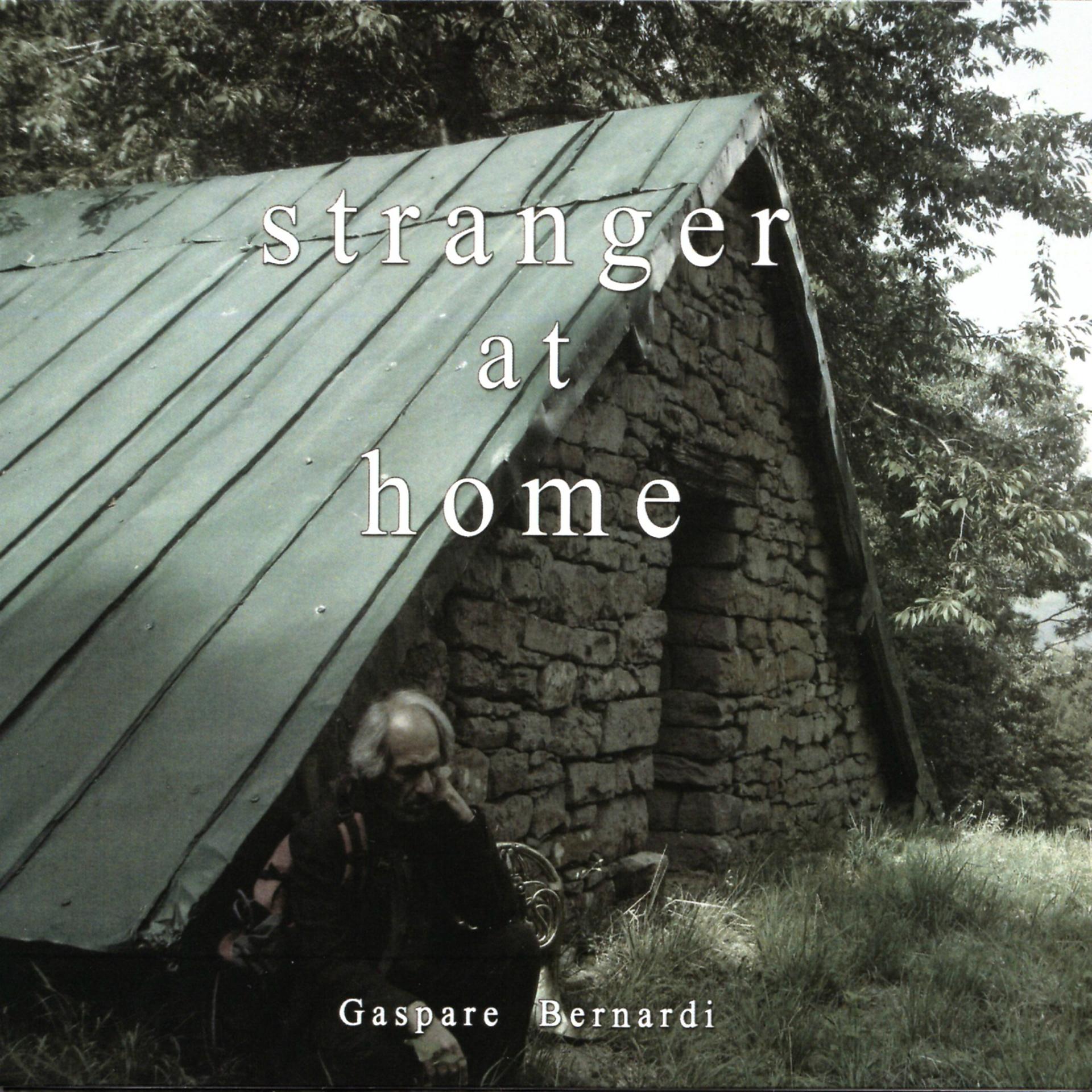 Постер альбома Stranger at Home