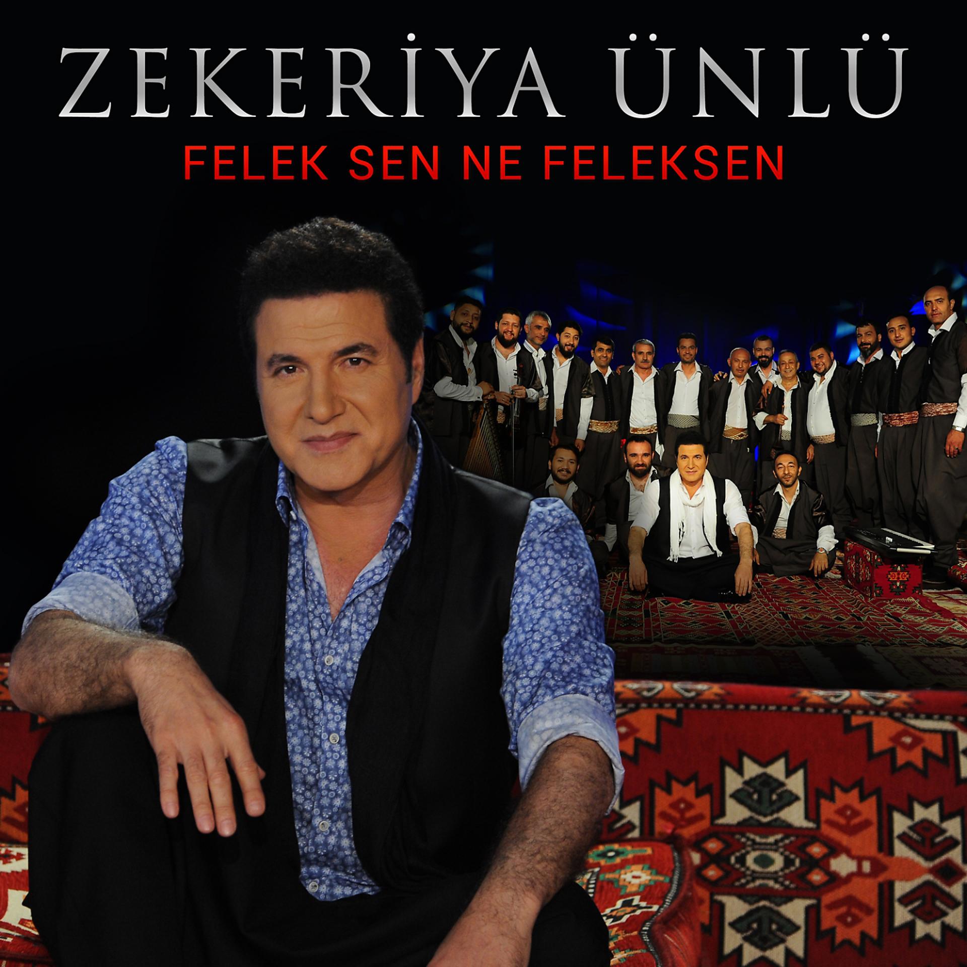 Постер альбома Felek Sen Ne Feleksen