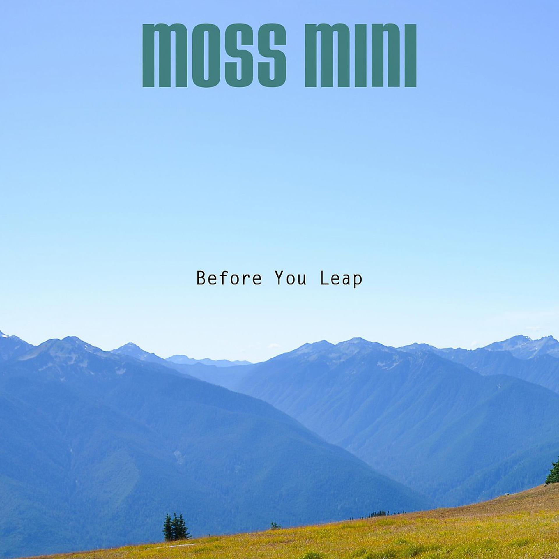 Постер альбома Moss Mini