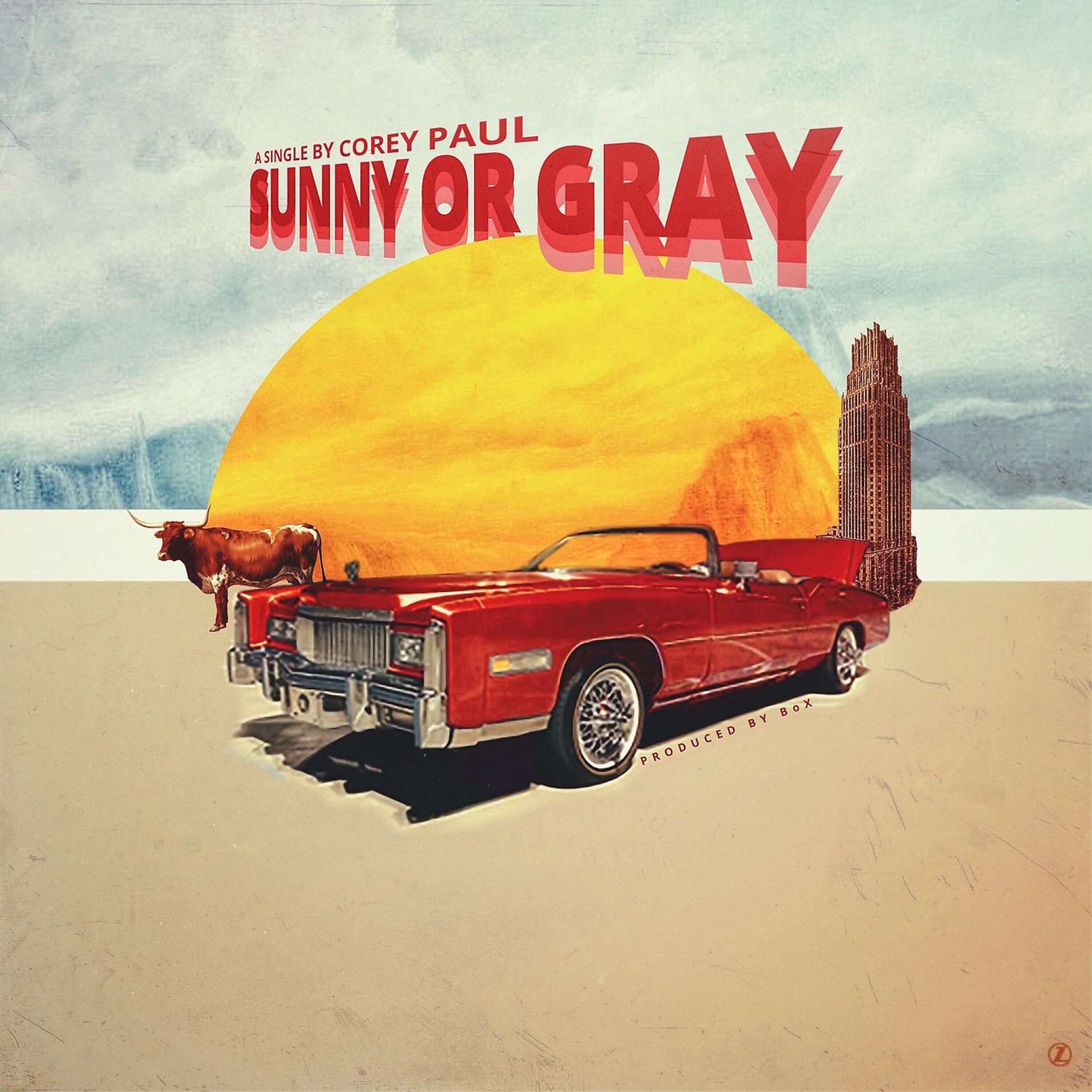 Постер альбома Sunny or Gray