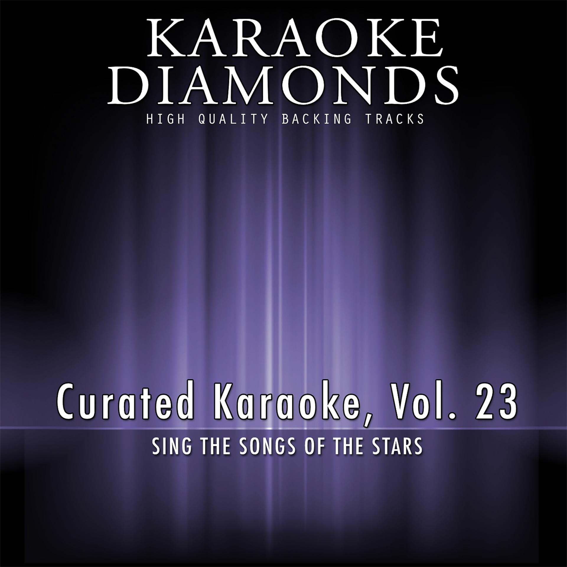 Постер альбома Curated Karaoke, Vol. 23