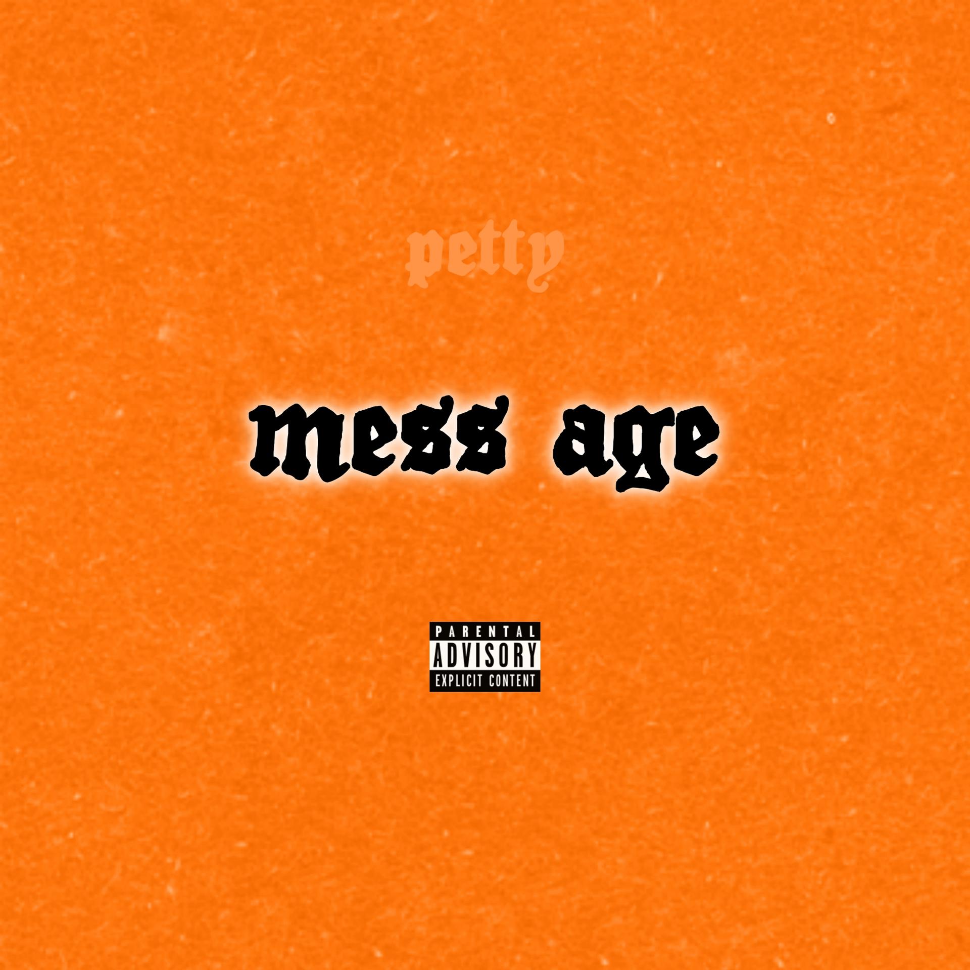 Постер альбома Mess Age